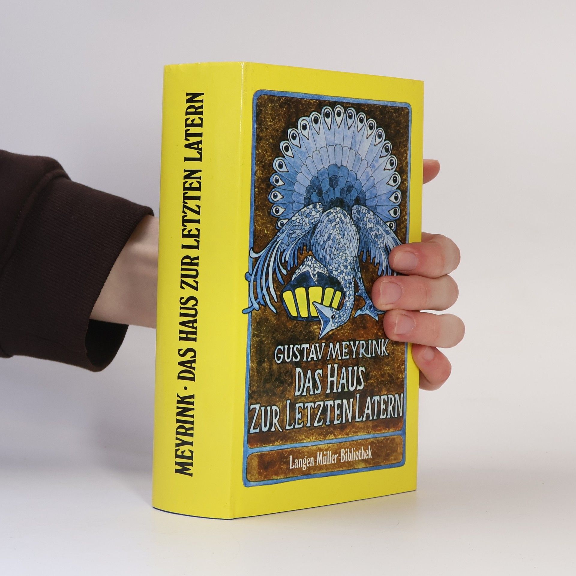 Gustav Meyrink Das Haus zur letzten Latern. Nachgelassenes und Verstreutes
