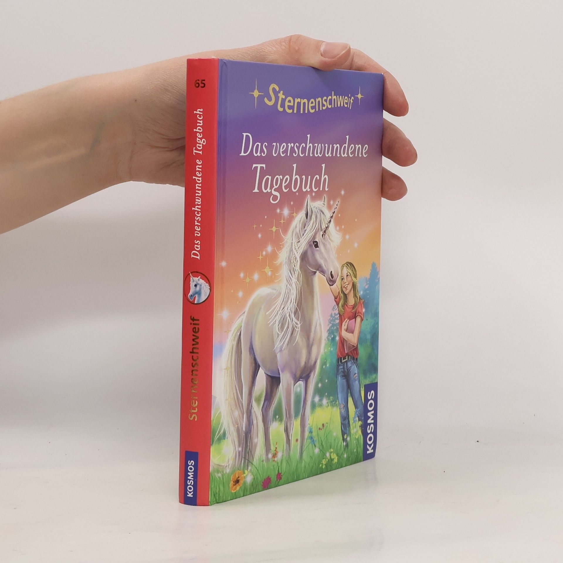 Anne Scheller Das verschwundene Tagebuch