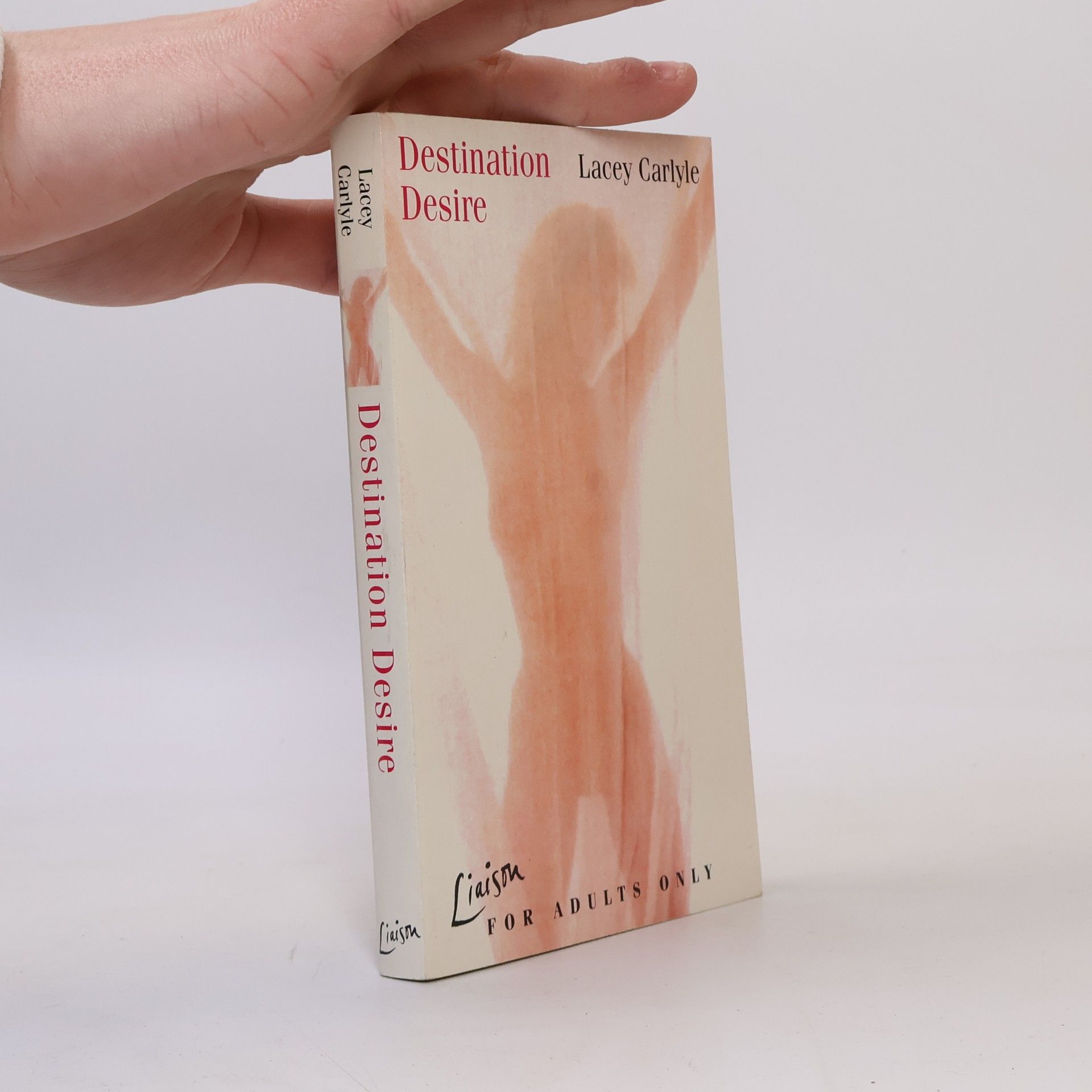 Lacey Carlyle Liaison: Destination Desire