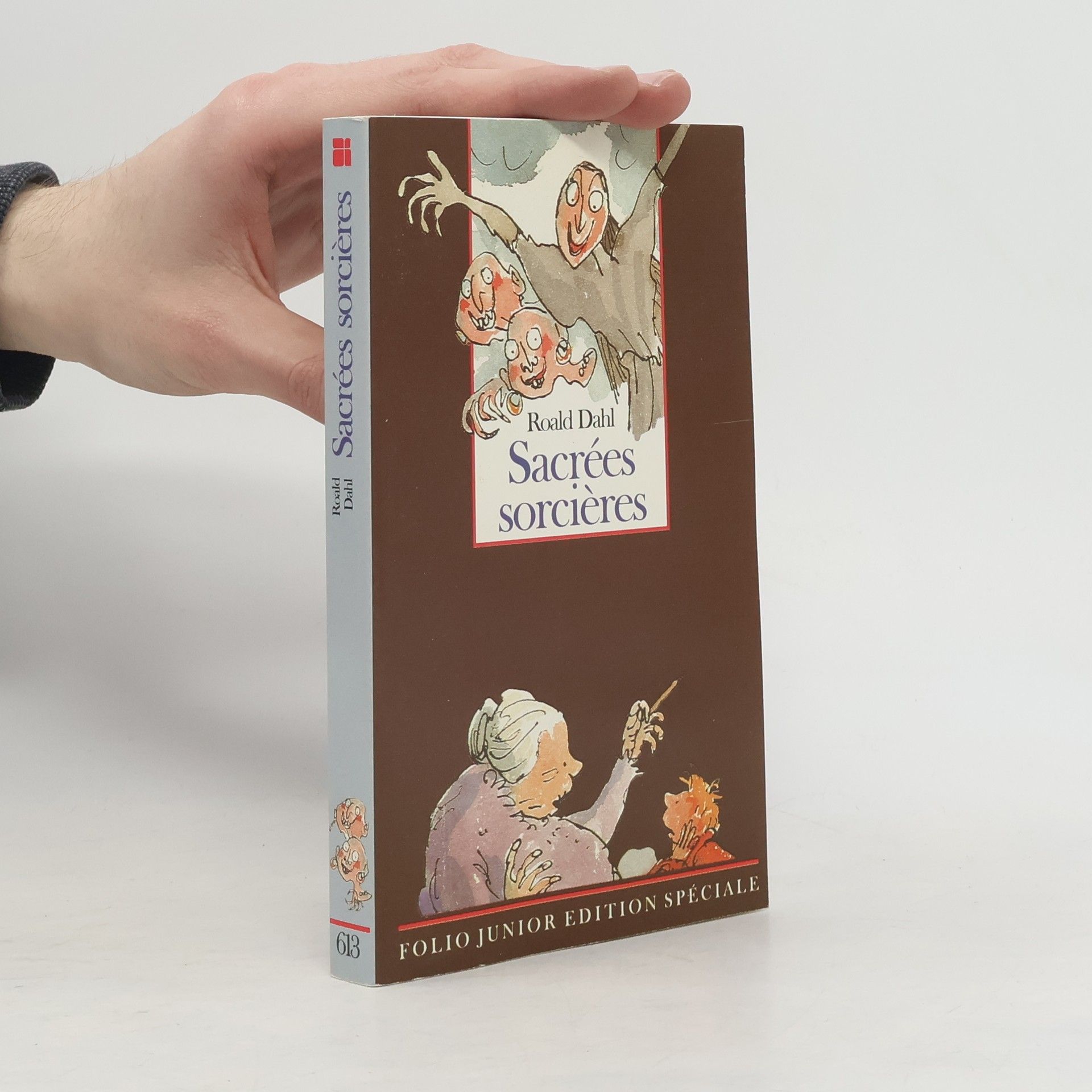 Roald Dahl Sacrées Sorcières