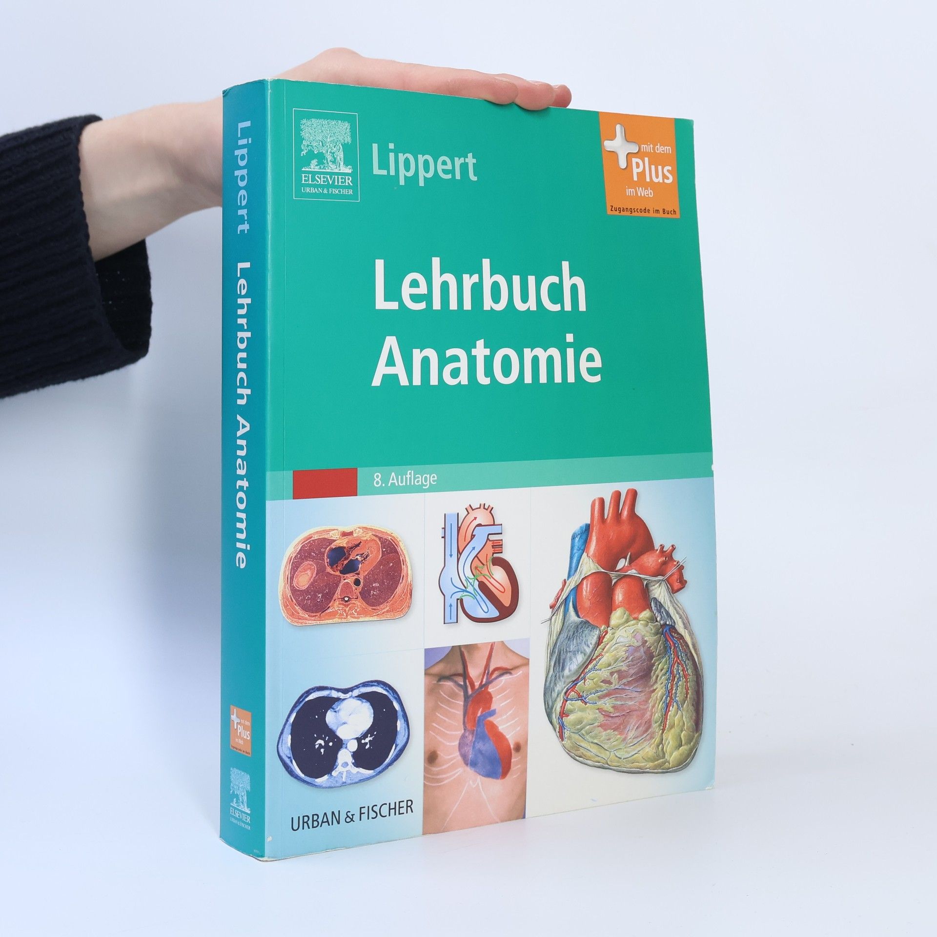 Herbert Lippert Lehrbuch Anatomie