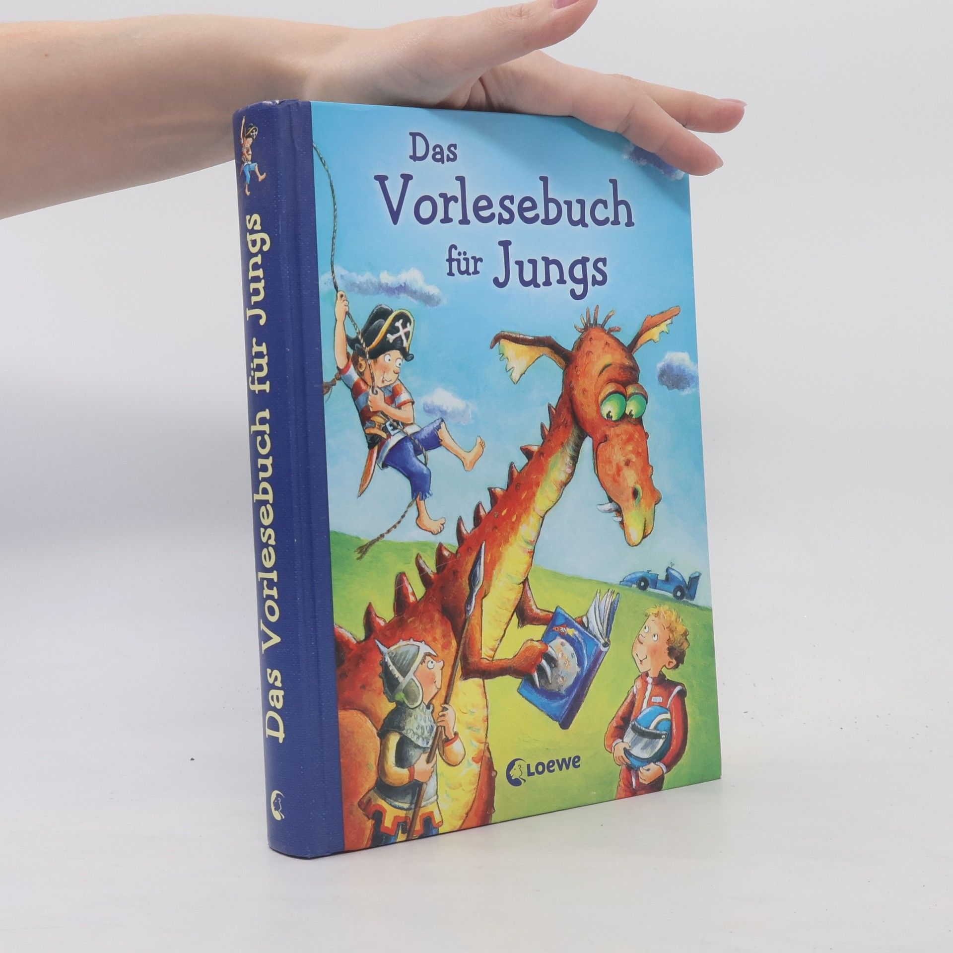 Kolektiv autorů Das Vorlesebuch für Jungs