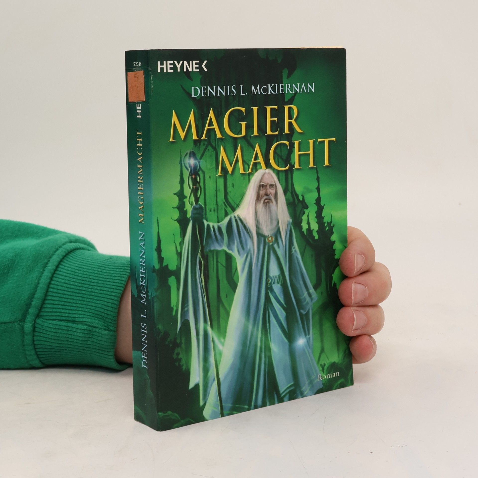 Dennis L. McKiernan Magiermacht