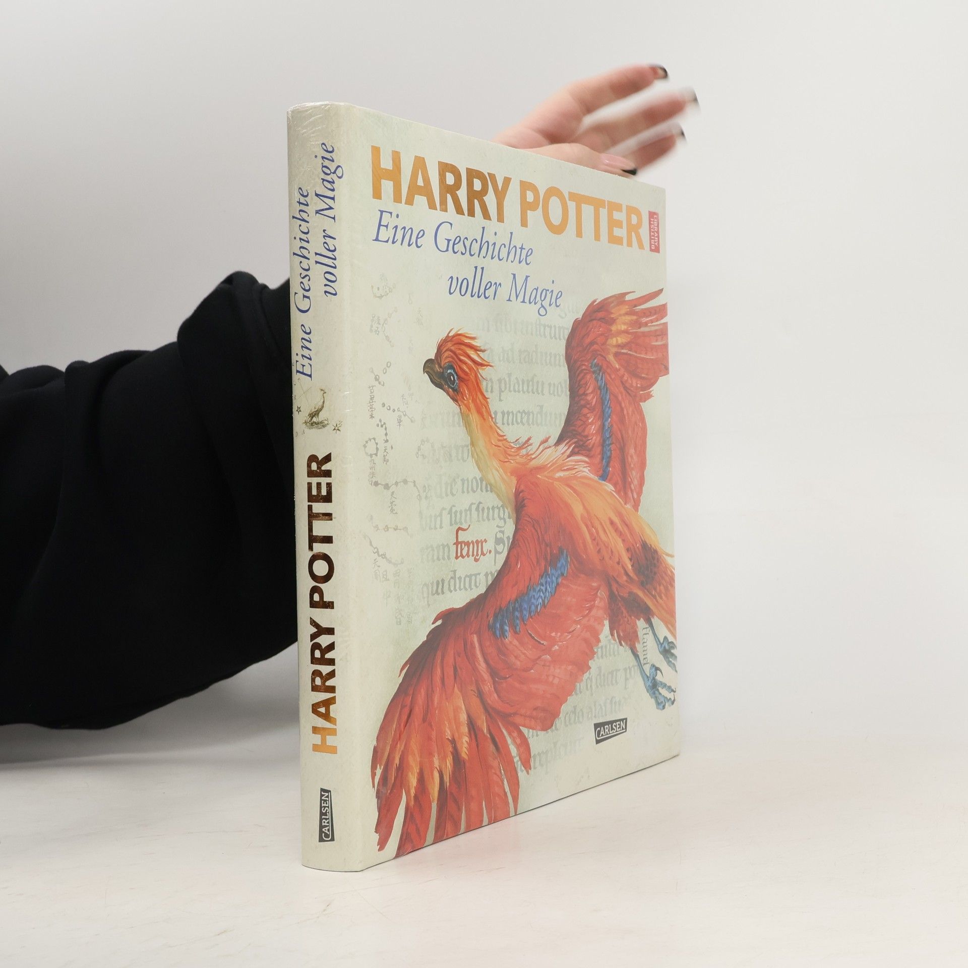 Karlheinz Dürr Harry Potter: eine Geschichte voller Magie