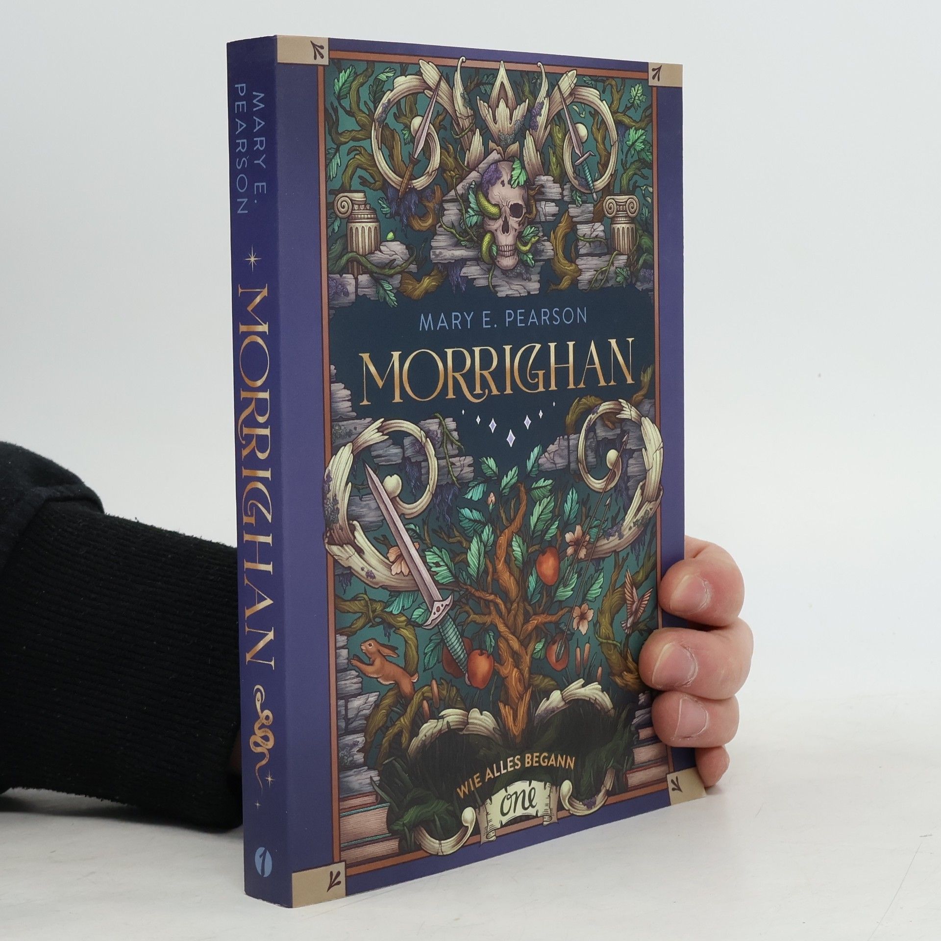 Mary E. Pearson Morrighan - Wie alles begann