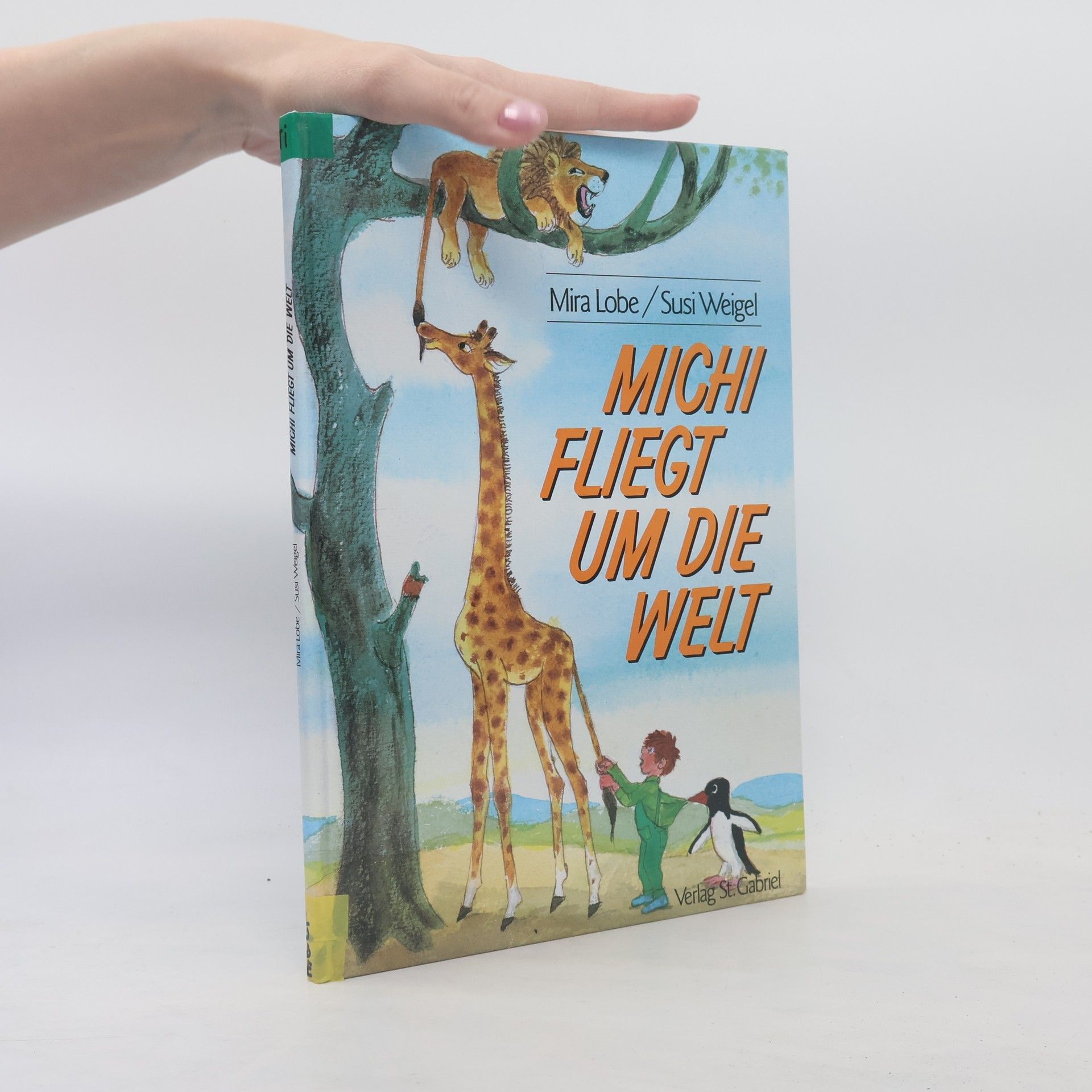 Michi fliegt um die Welt