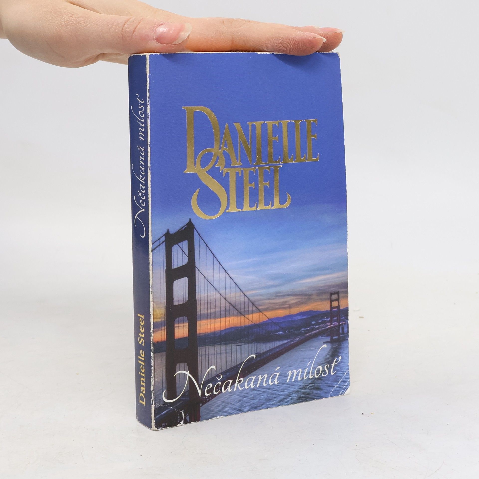 Danielle Steel Nečakaná mílosť