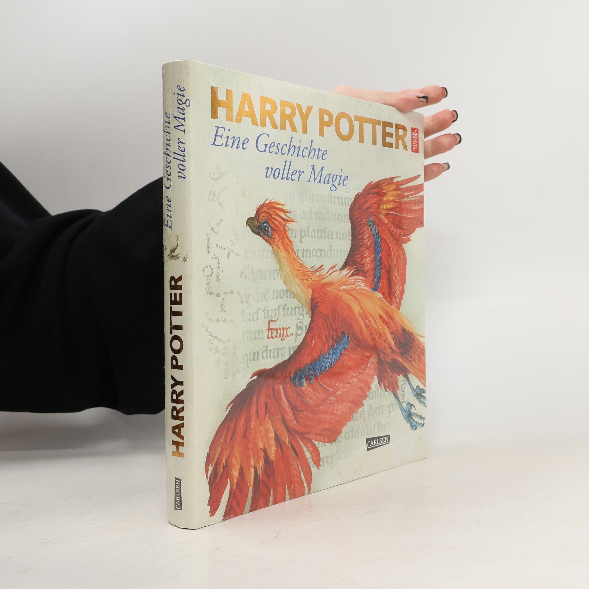 Karlheinz Dürr Harry Potter: eine Geschichte voller Magie