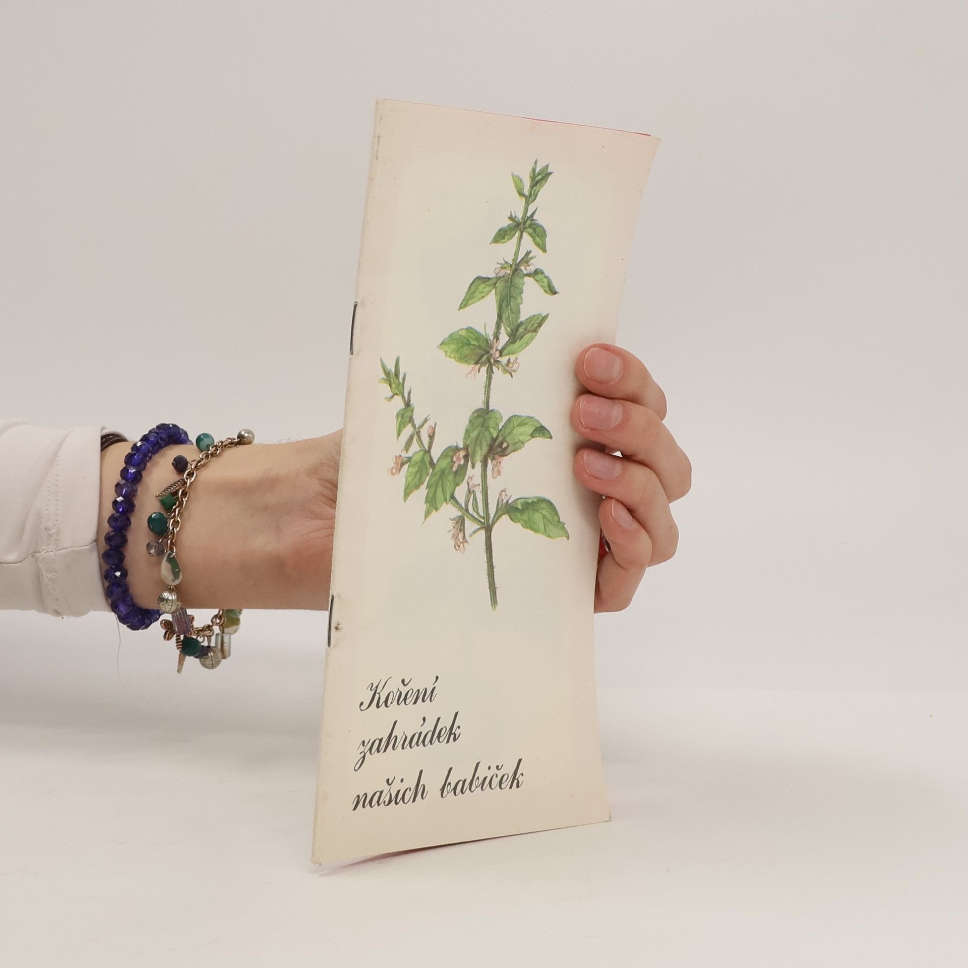 Auteurscollectief Koření zahrádek našich babiček