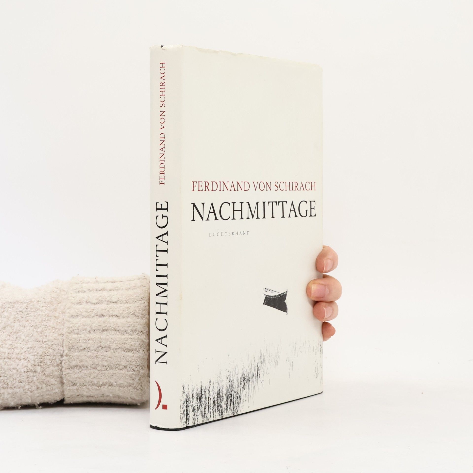 Ferdinand von Schirach Nachmittage