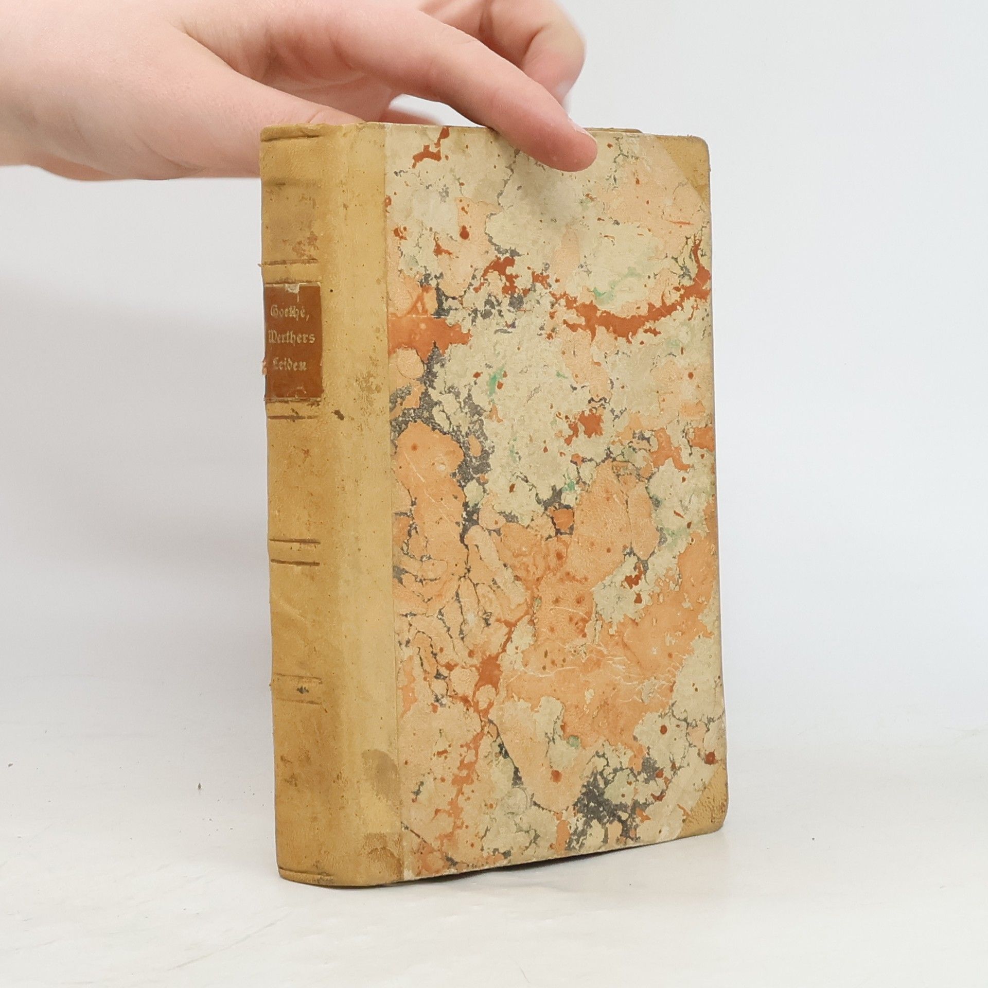 Johann Wolfgang von Goethe Die Leiden des jungen Werther