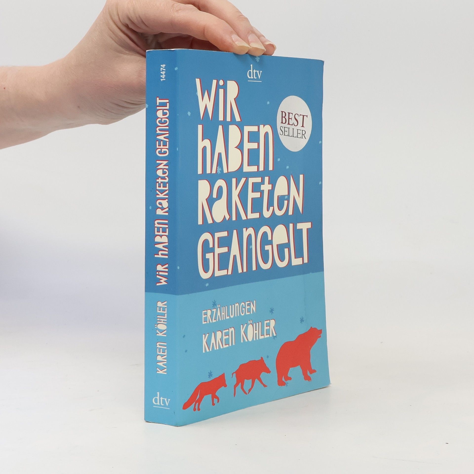 Karen Köhler Wir haben Raketen geangelt