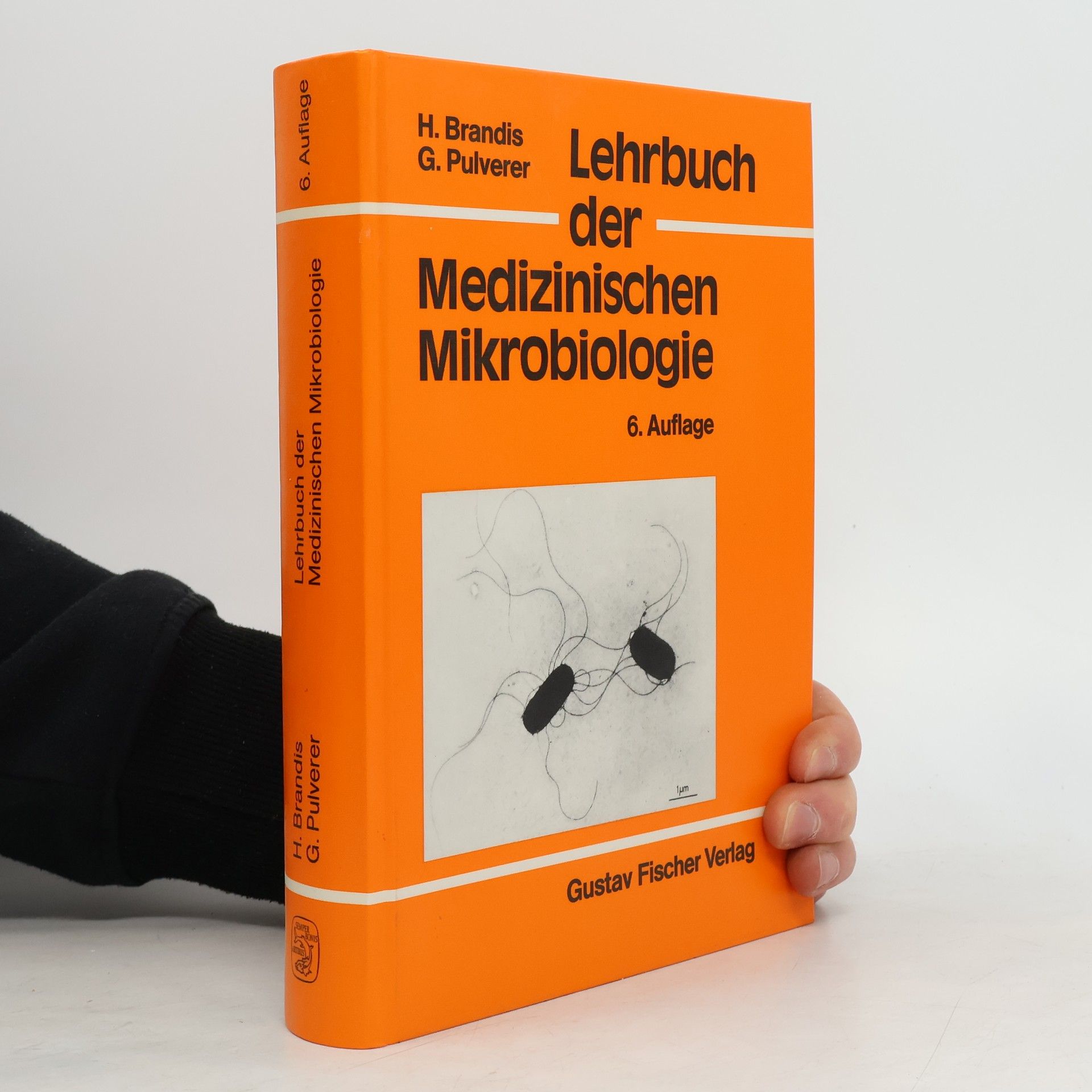 Gerhard Pulvever Lehrbuch der medizinischen Mikrobiologie