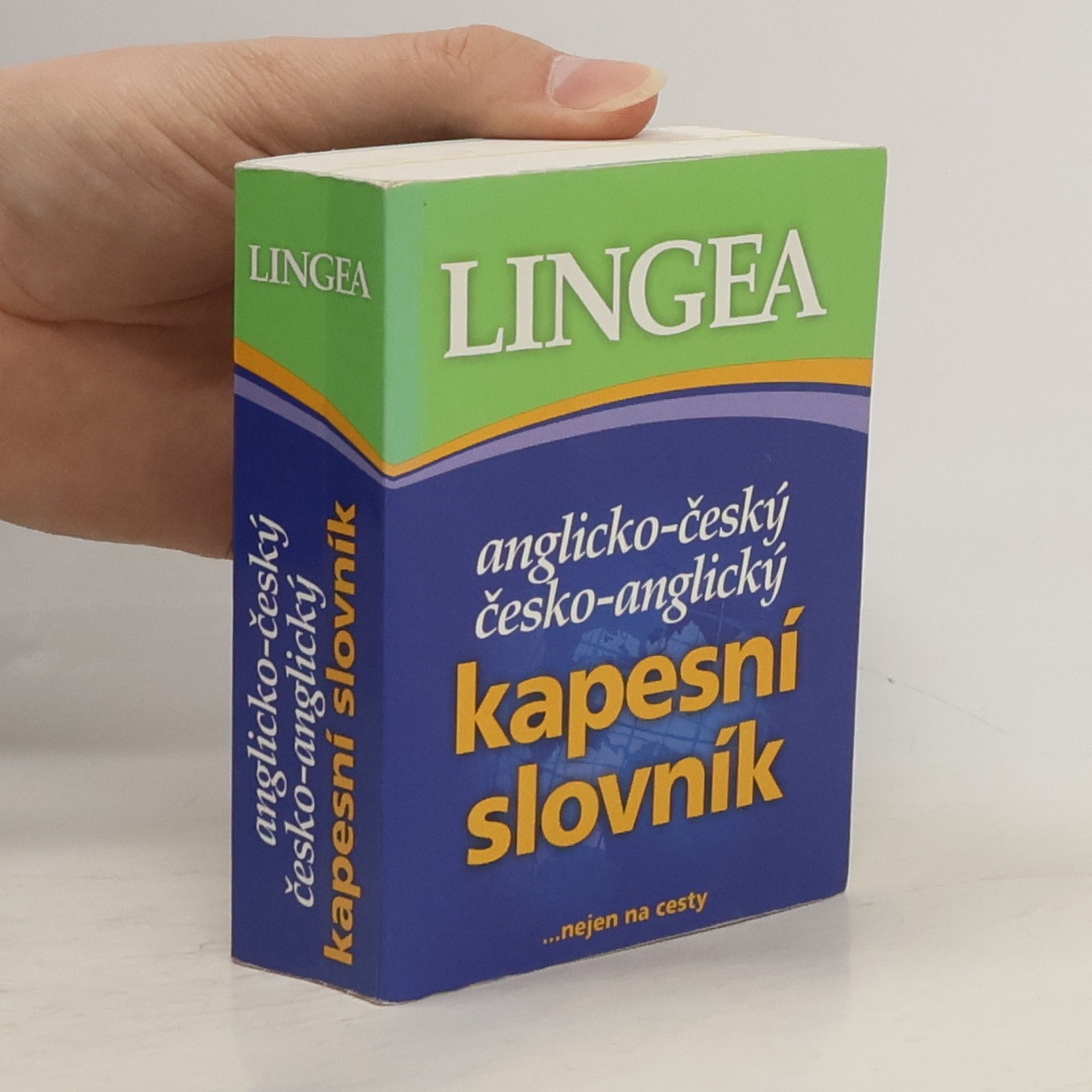 Autorenkollektiv Anglicko-český, česko-anglický kapesní slovník