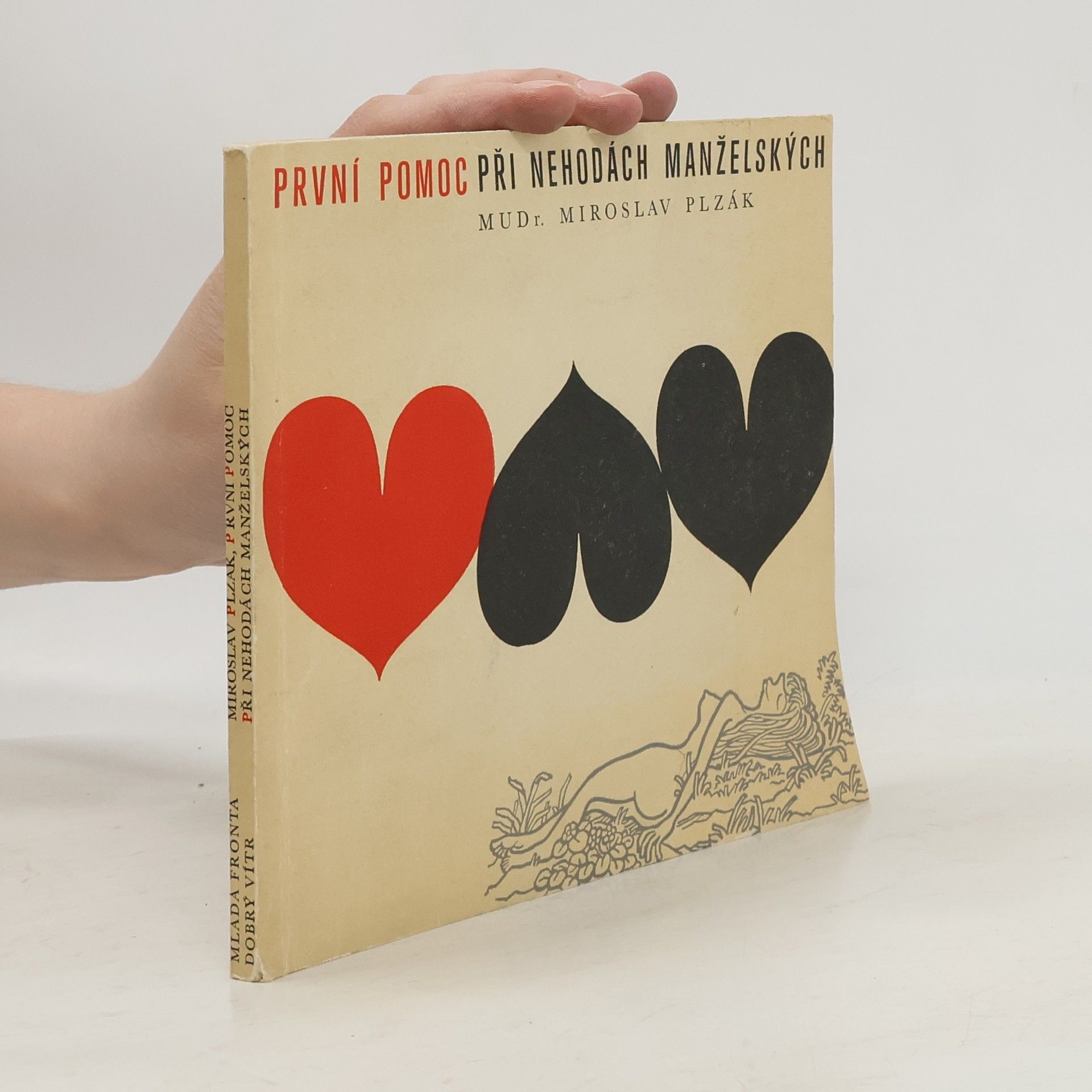 První pomoc při nehodách manželských