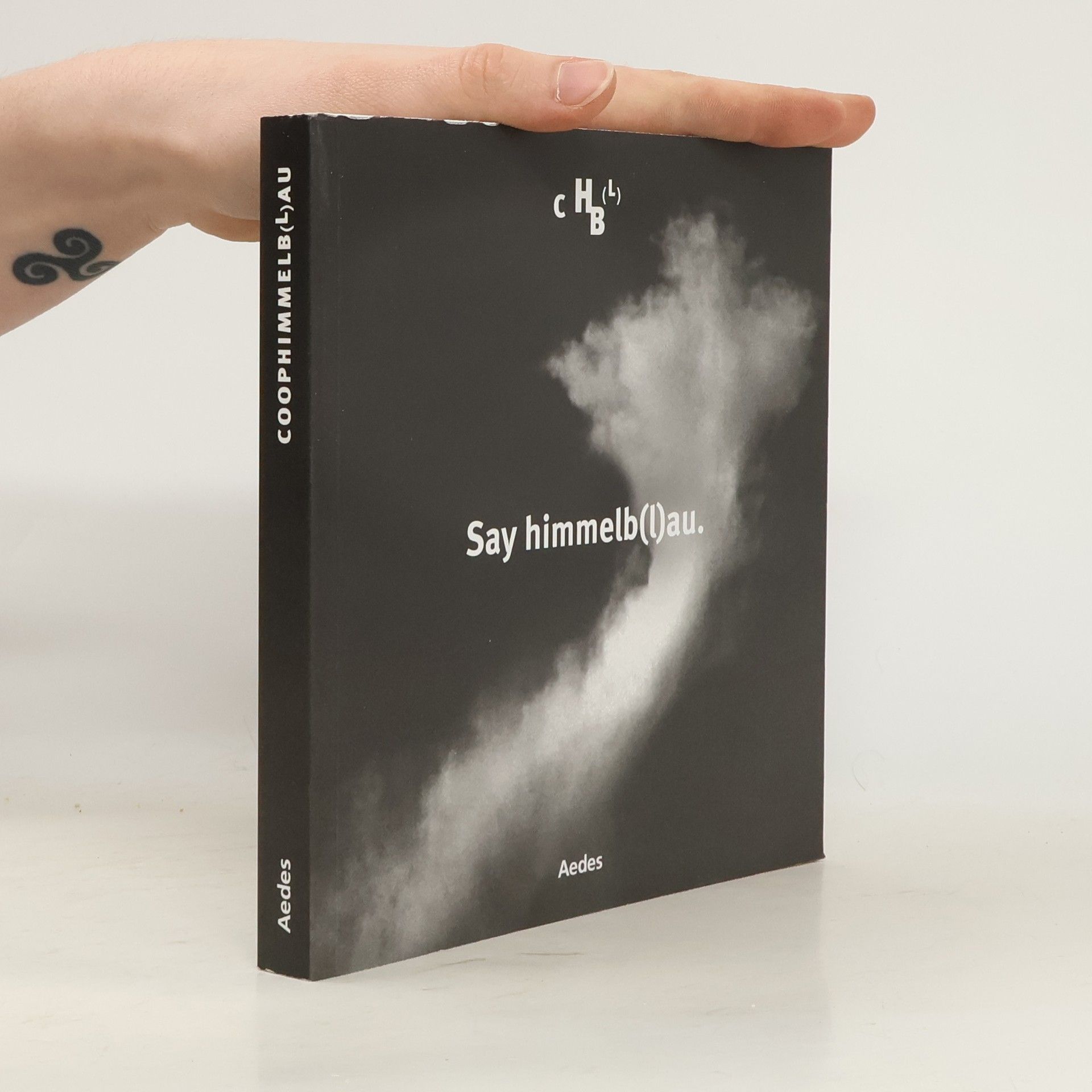 Kristin Feireiss Say himmelb(l)au