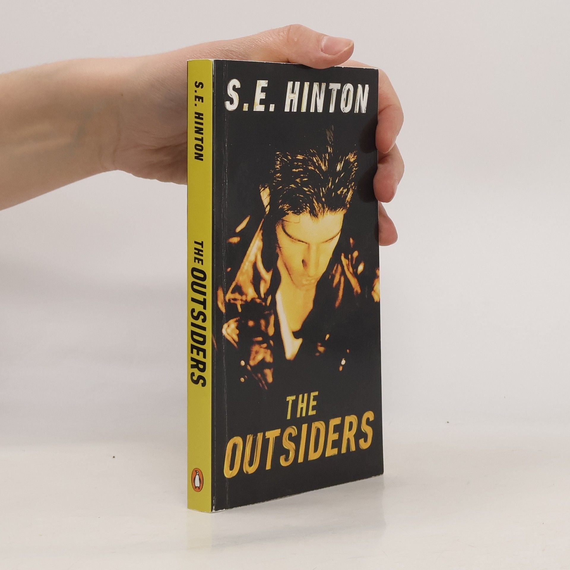 S. E. Hinton The Outsiders