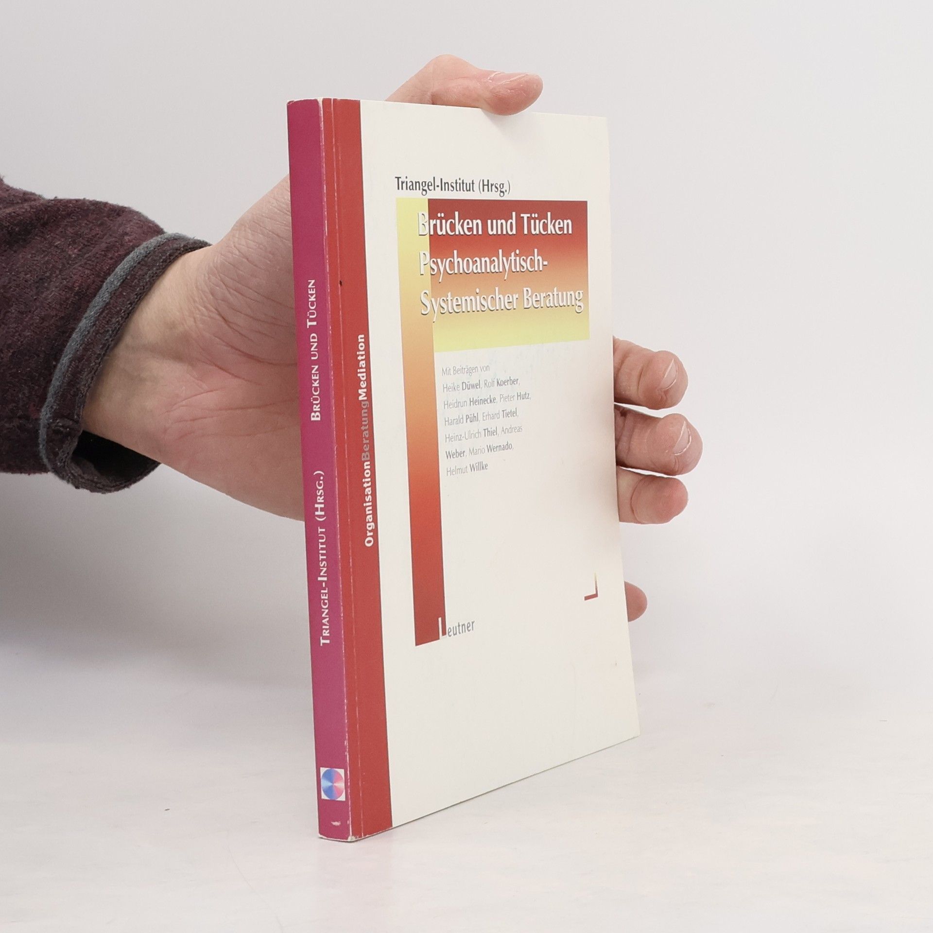 Heike Düwel Brücken und Tücken psychoanalytisch-systemischer Beratung