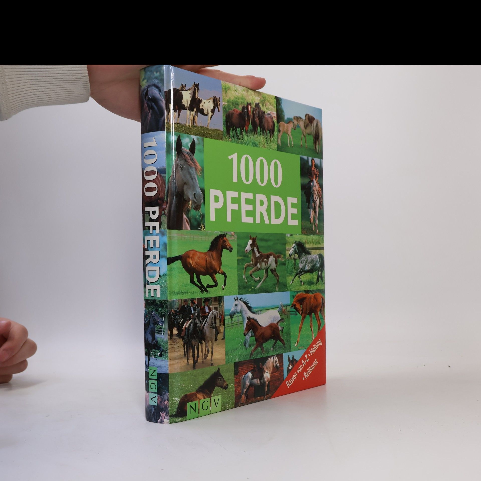 Ulrike Schöber 1000 Pferde