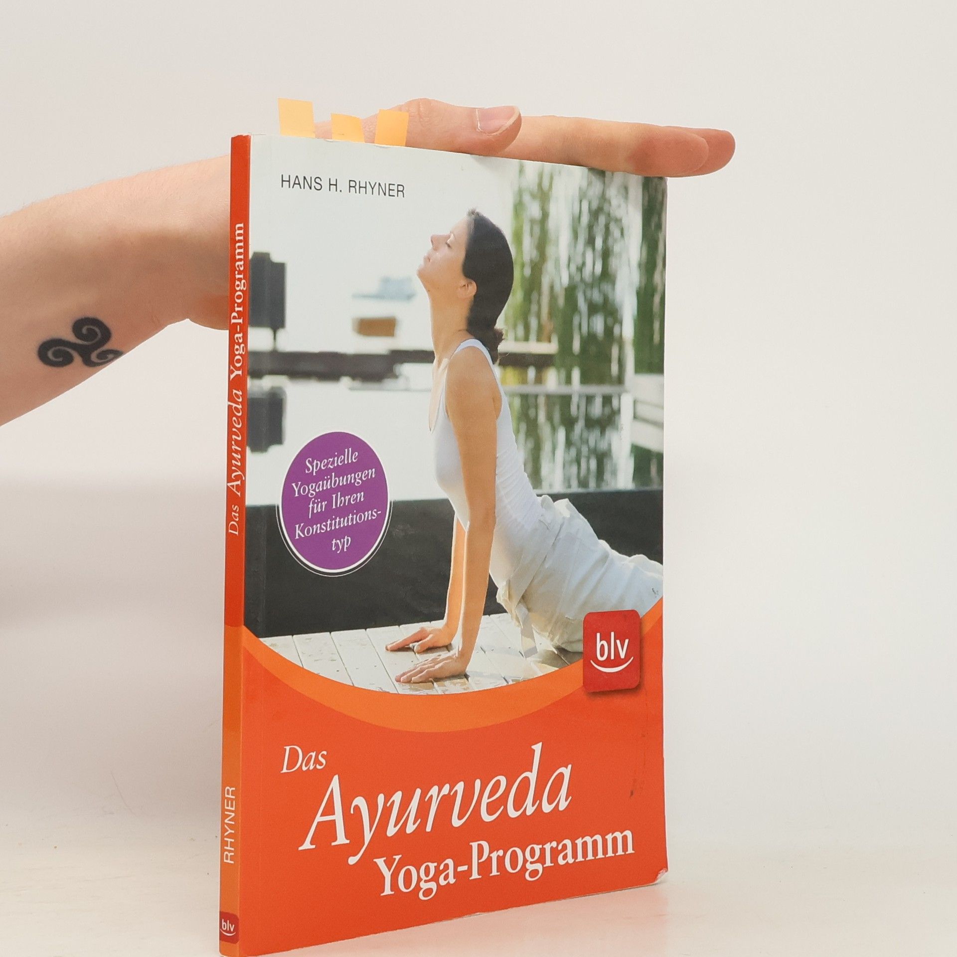 Hans H. Rhyner Das Ayurveda-Yoga-Programm