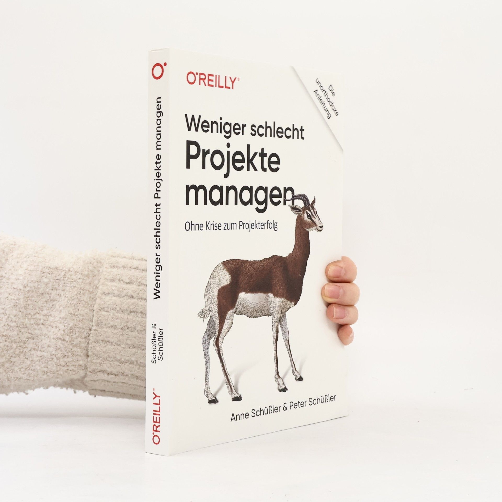 Anne Schüßler Weniger schlecht Projekte managen