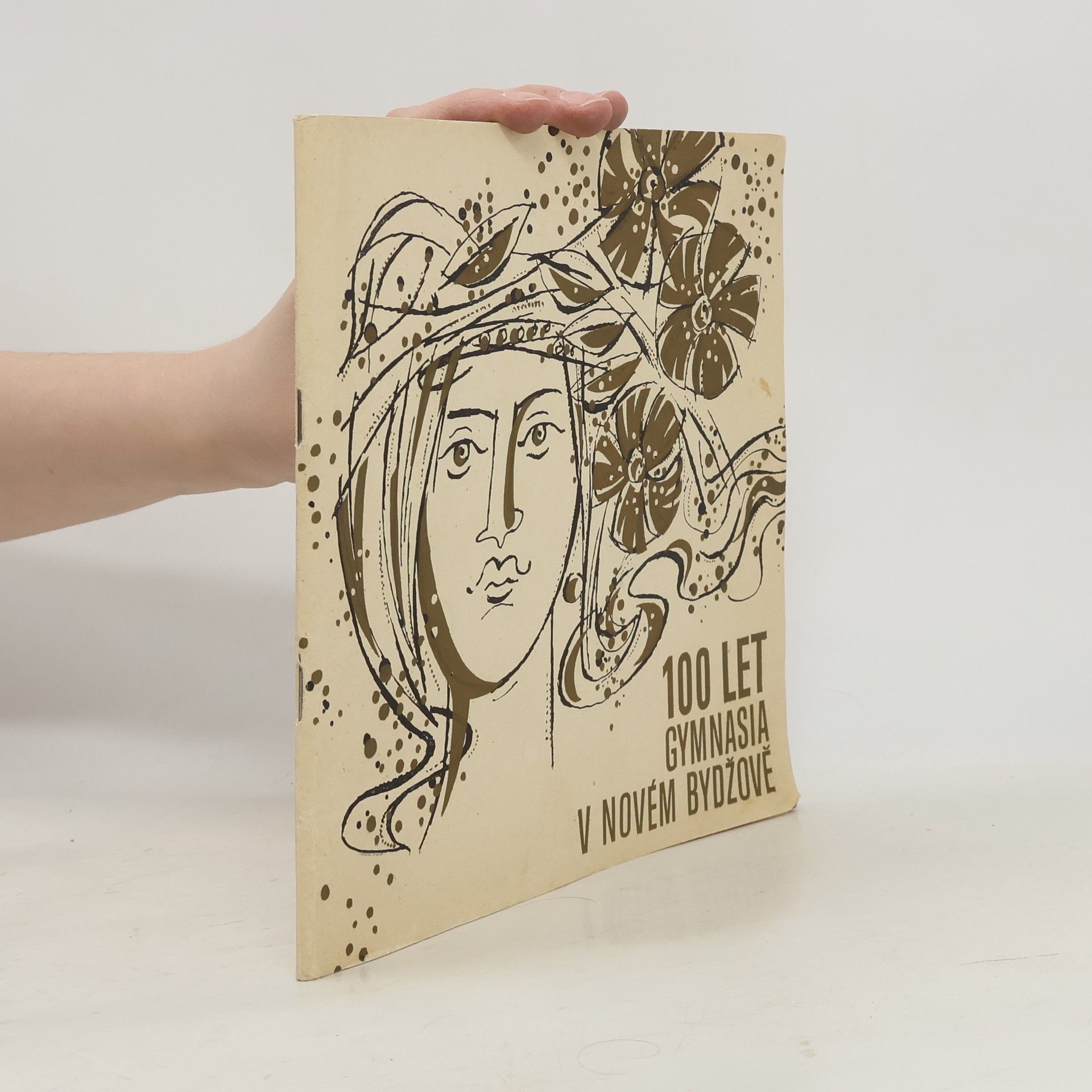 Kolektiv autorů 100 let gymnázia v Novém Bydžově