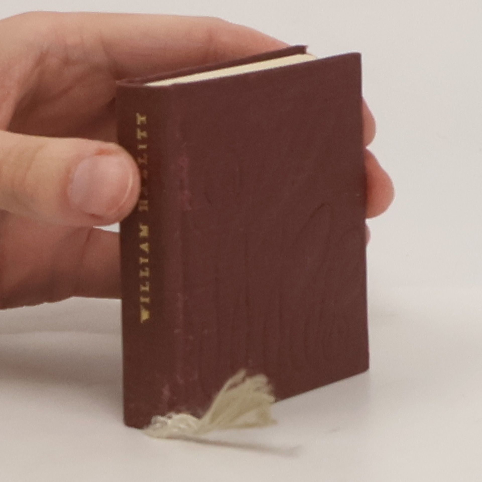 William Hazlitt Myšlenky lehké jako vzduch