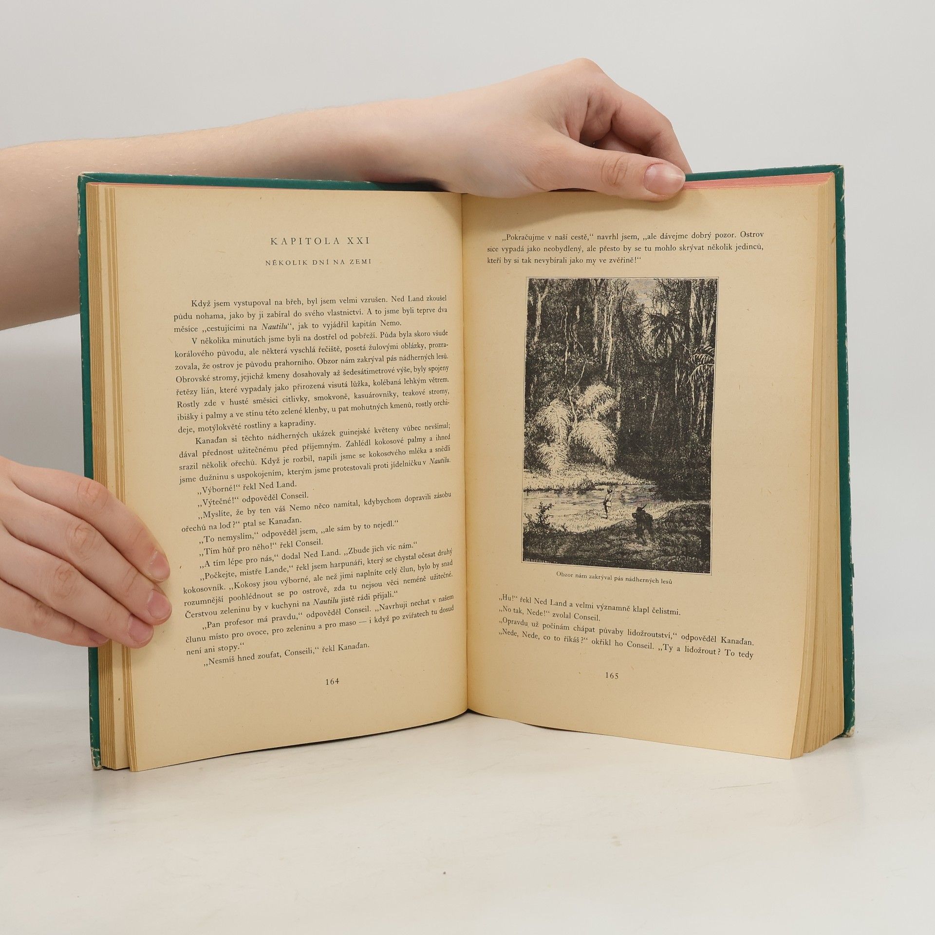 Jules Verne Dvacet tisíc mil pod mořem