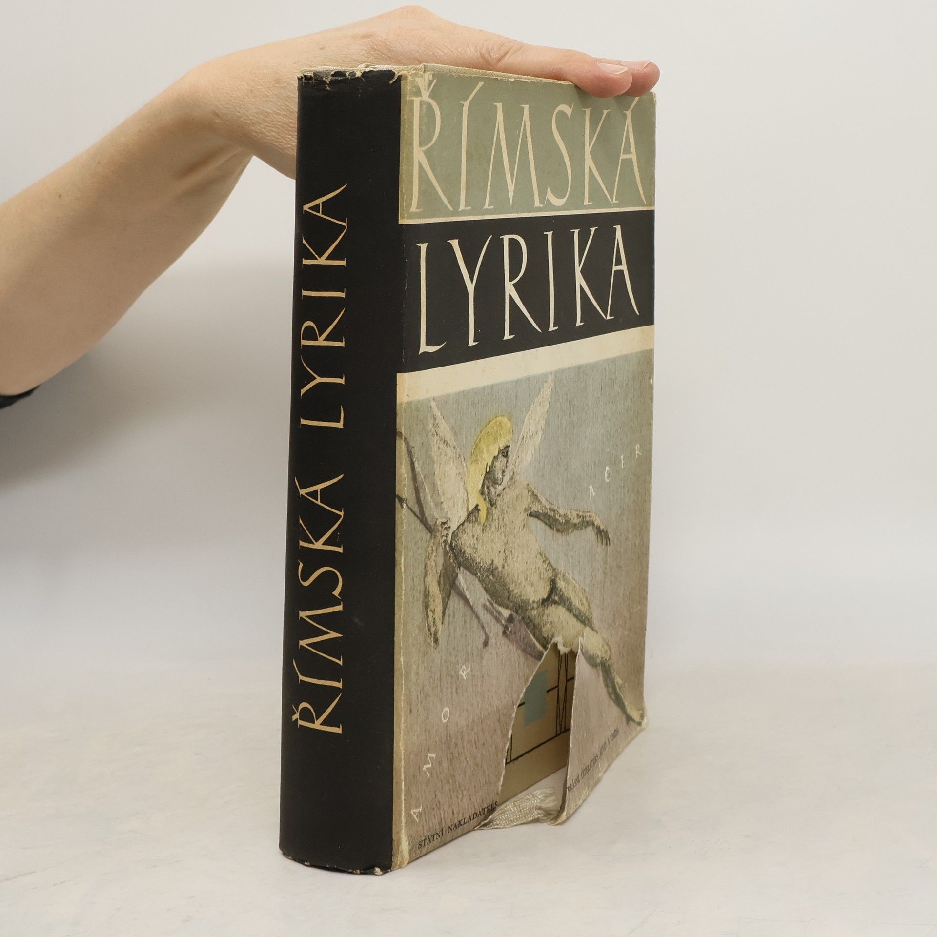 Ferdinand Stiebitz Římská lyrika