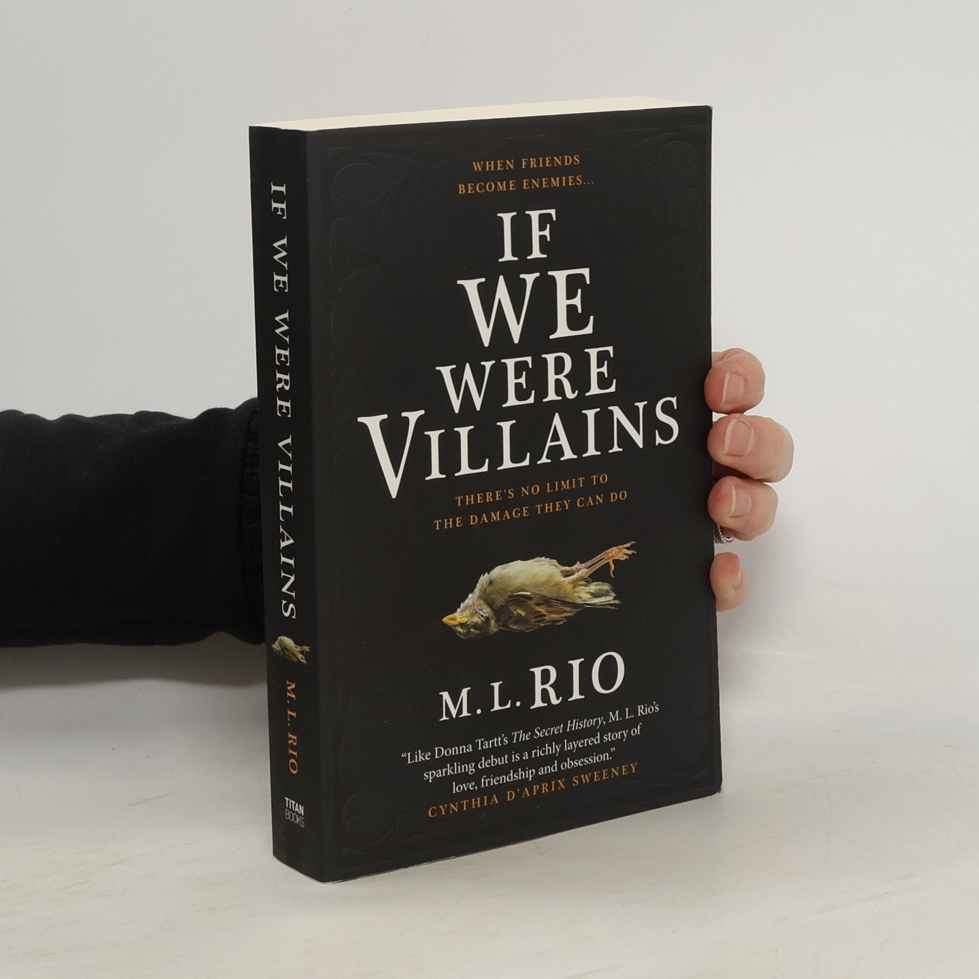 M. L. Rio If We Were Villains