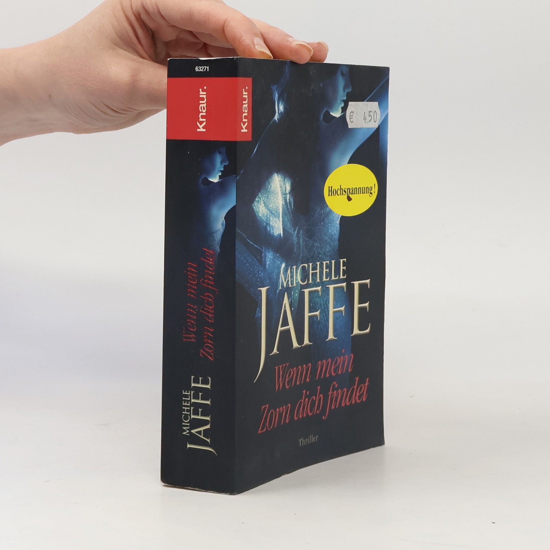 Michele Jaffe Wenn mein Zorn dich findet