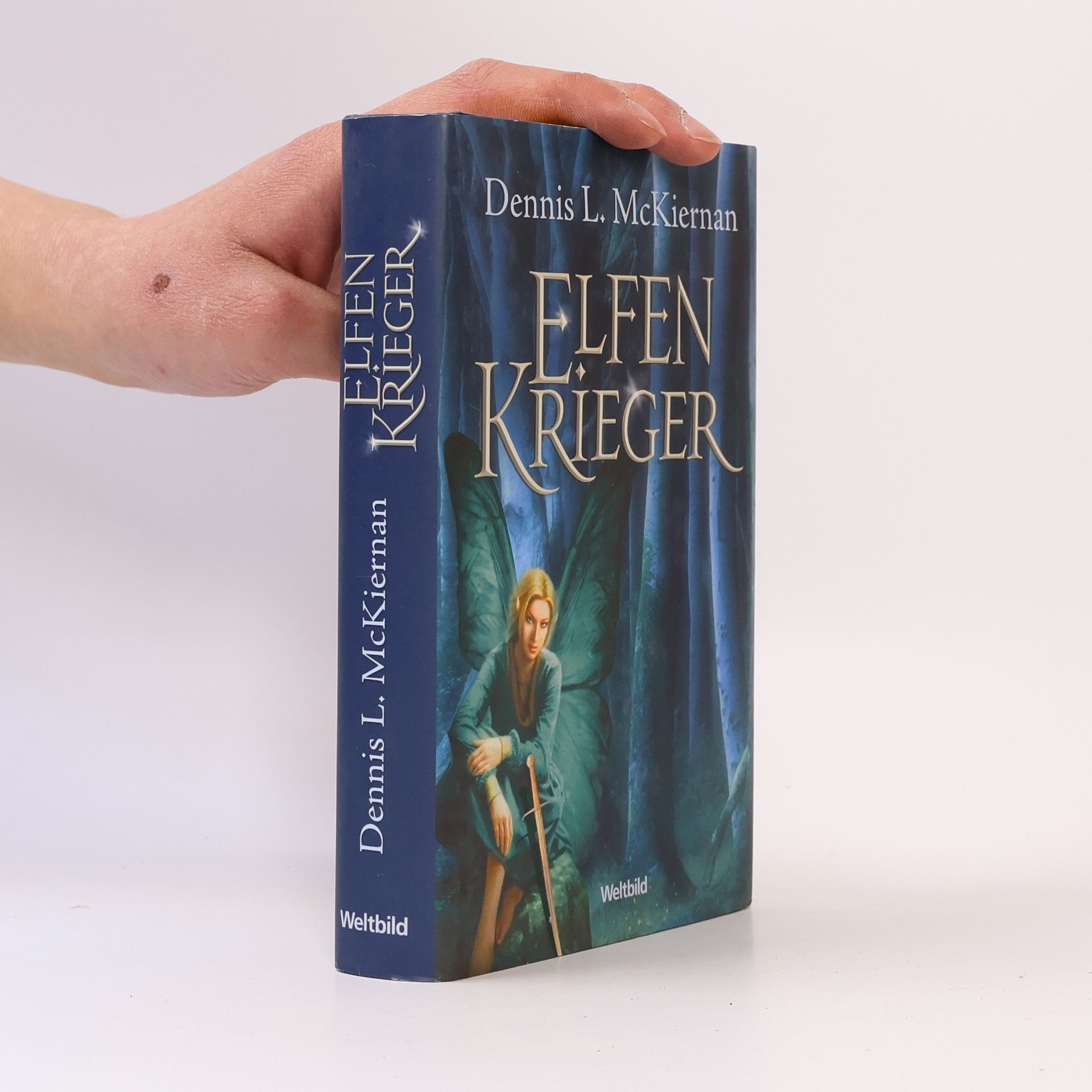 Dennis L. McKiernan Elfen Krieger