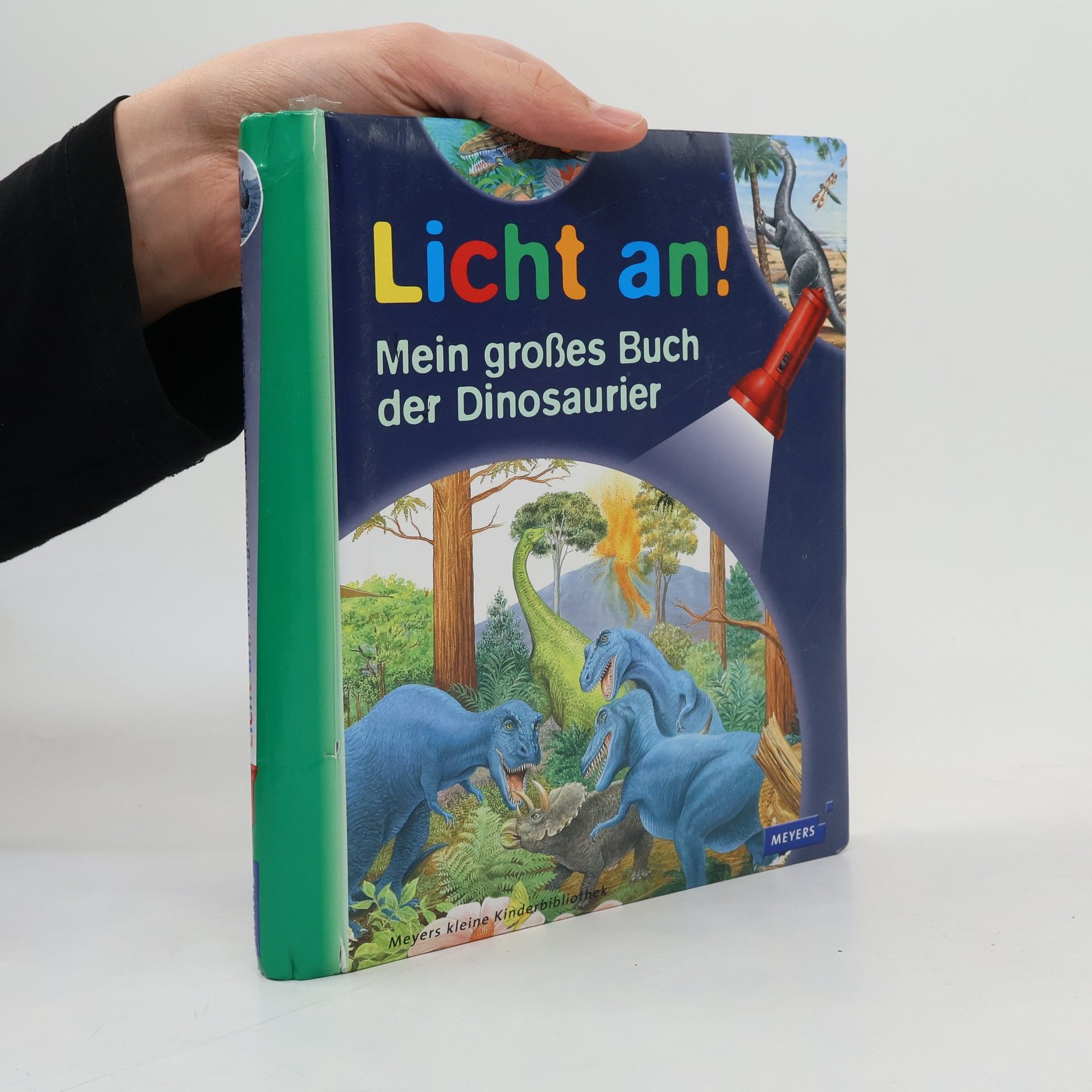 Henri Galeron Licht an! Mein großes Buch der Dinosaurier
