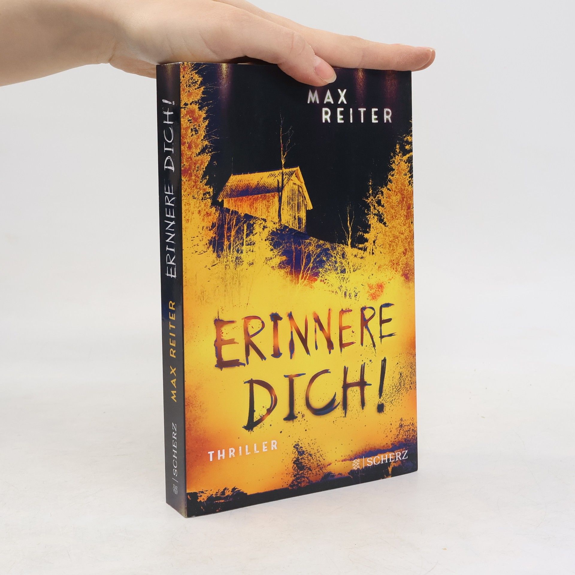 Max Reiter Erinnere dich!