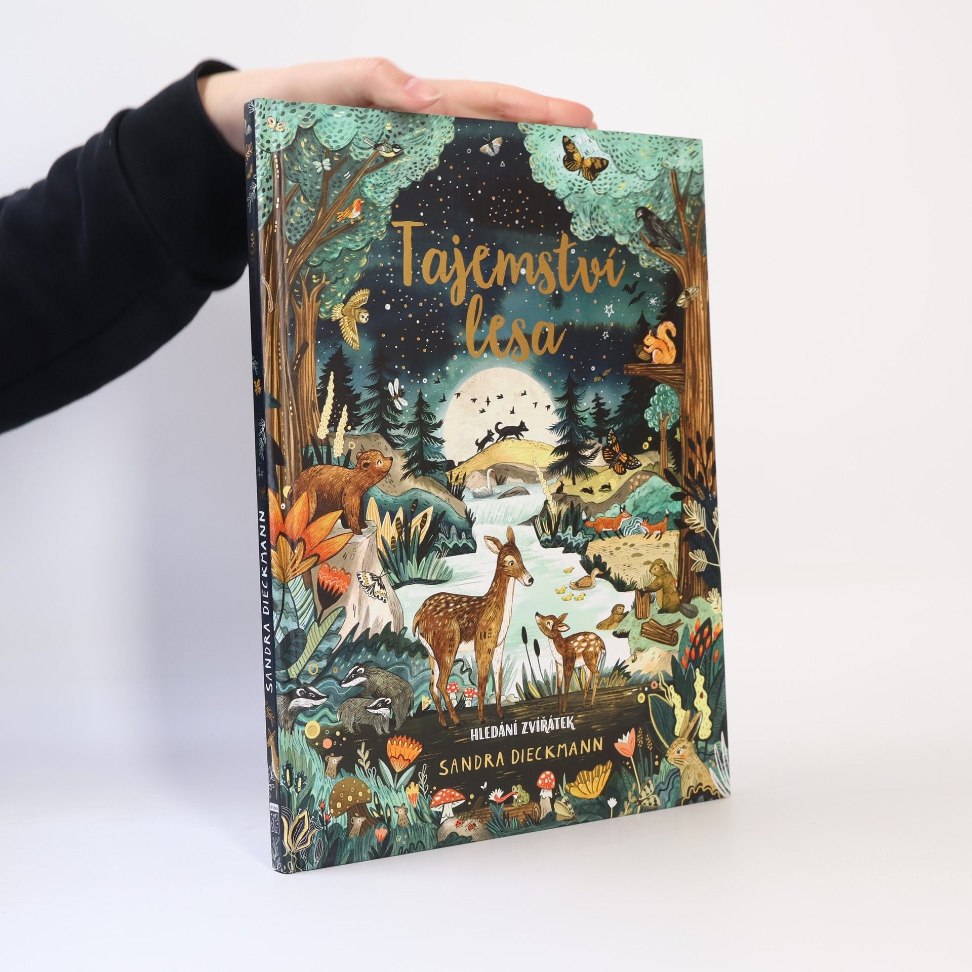 Tajemství lesa. Hledání zvířátek