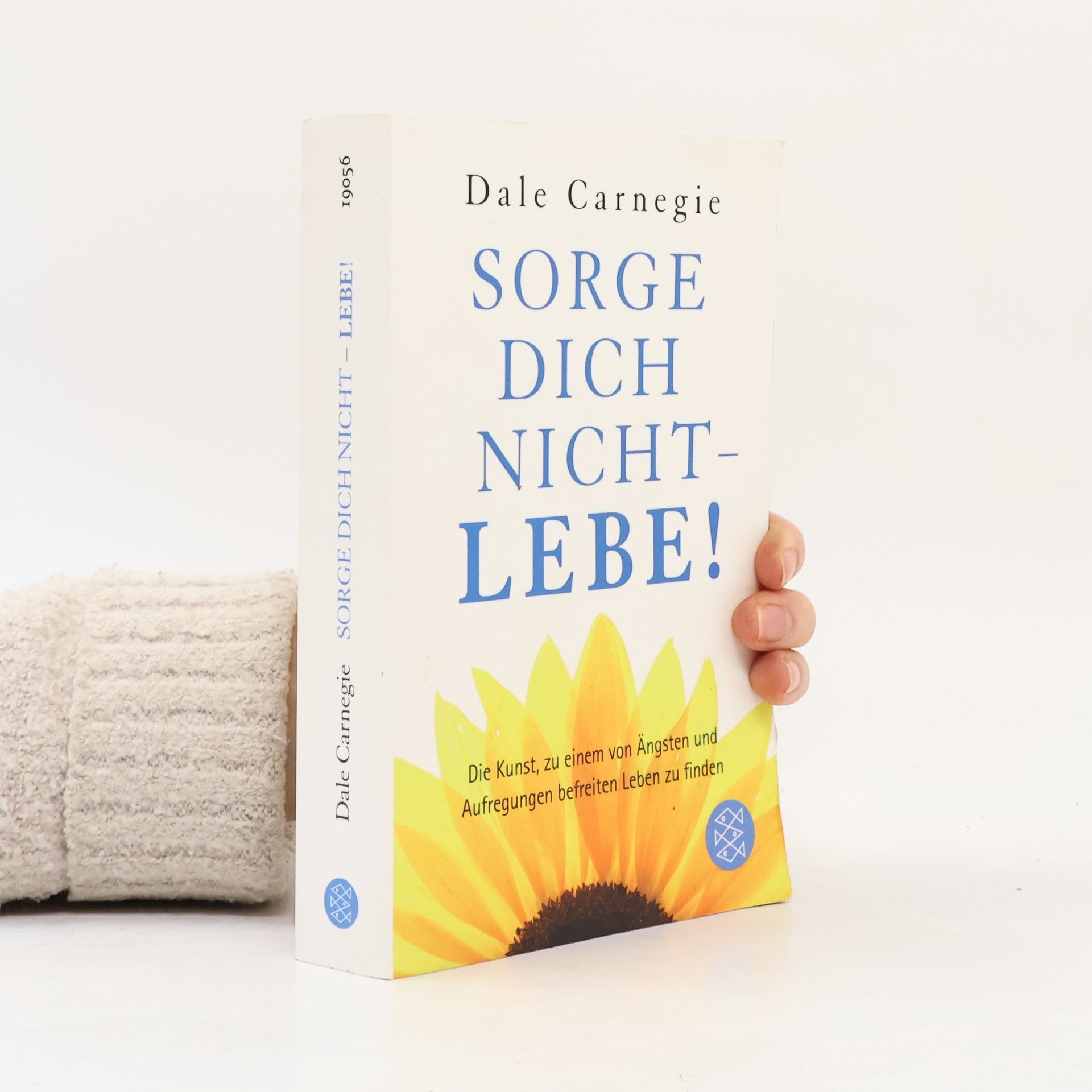 Dale Carnegie Sorge dich nicht - lebe!
