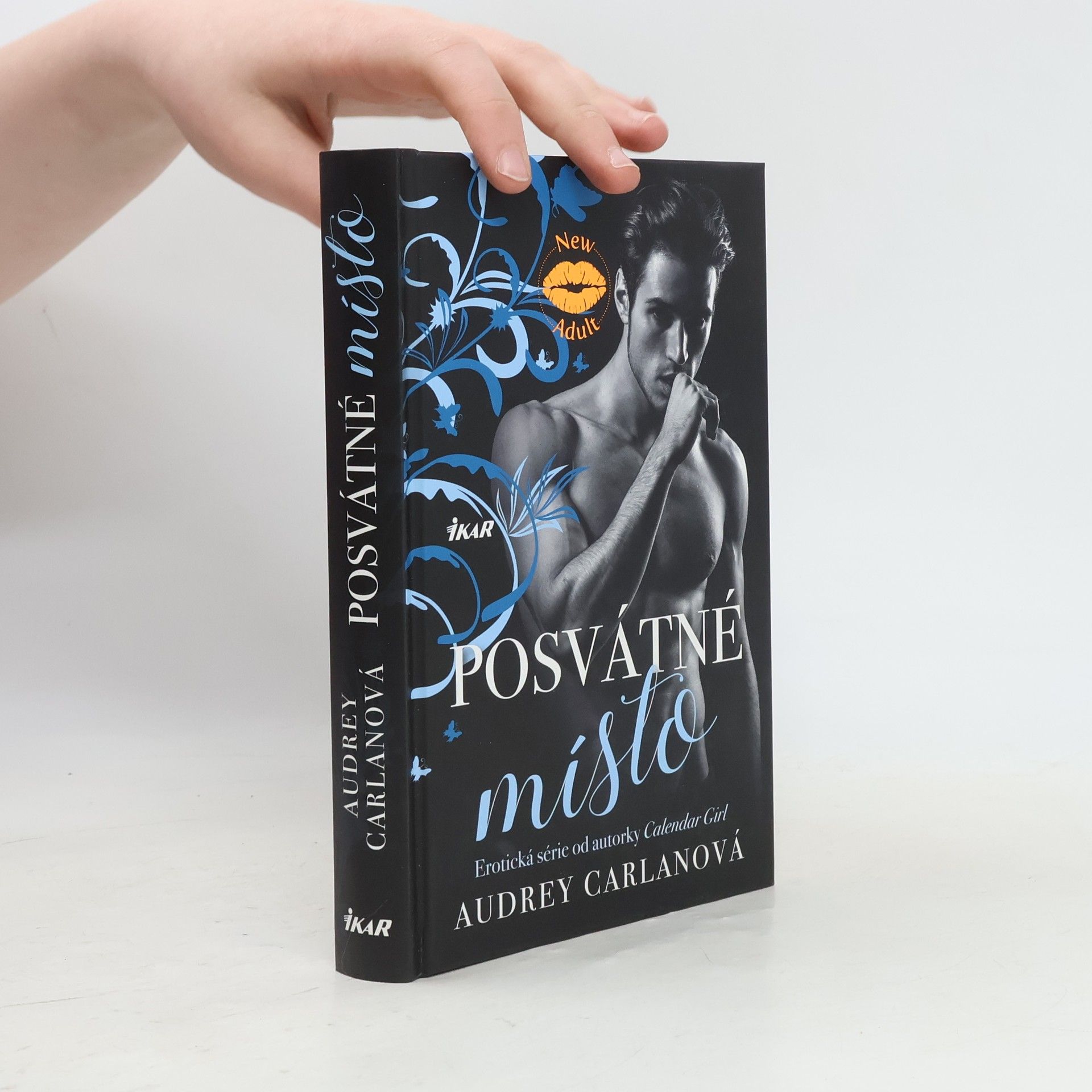 Audrey Carlan Posvátné místo