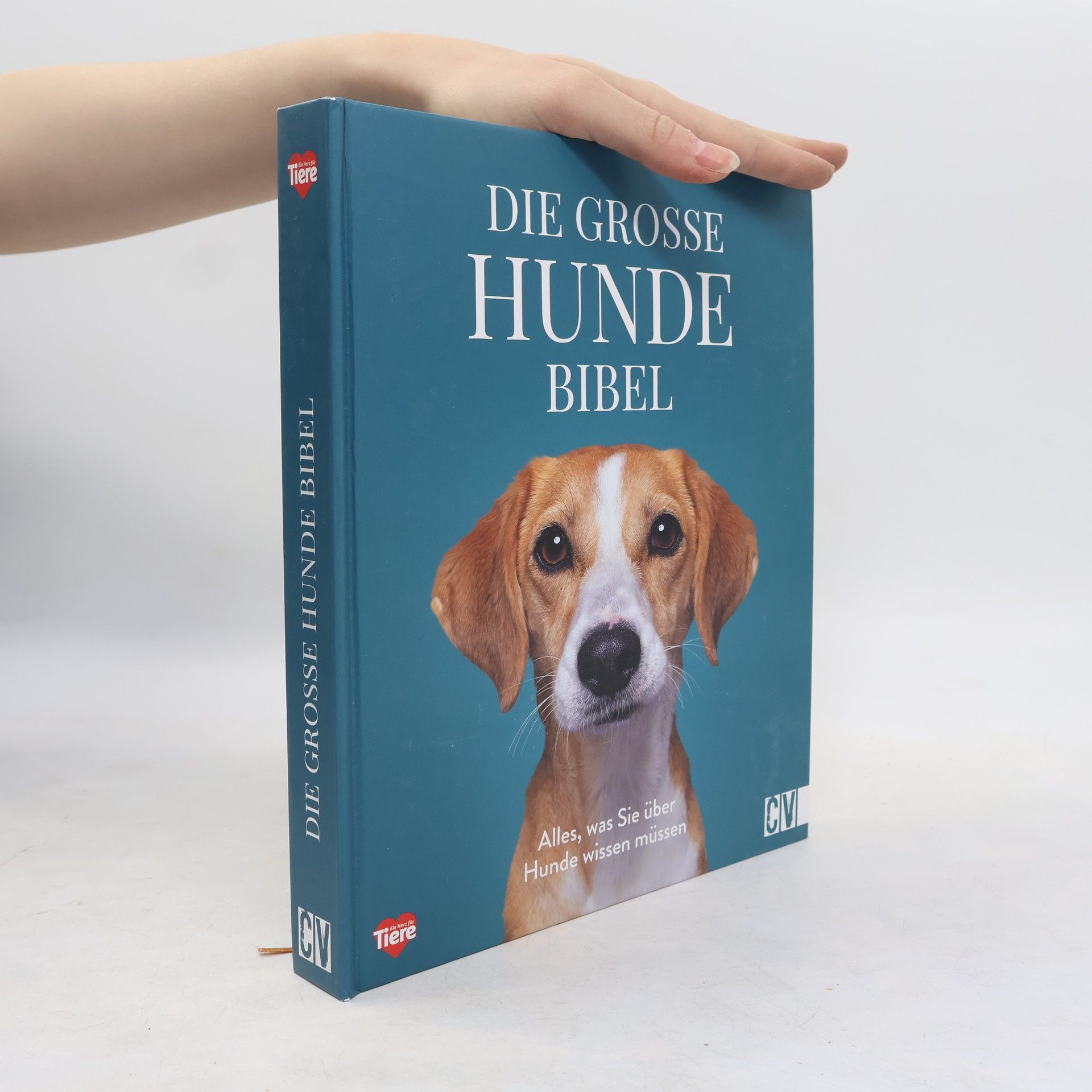 Autorenkollektiv Die große Hundebibel