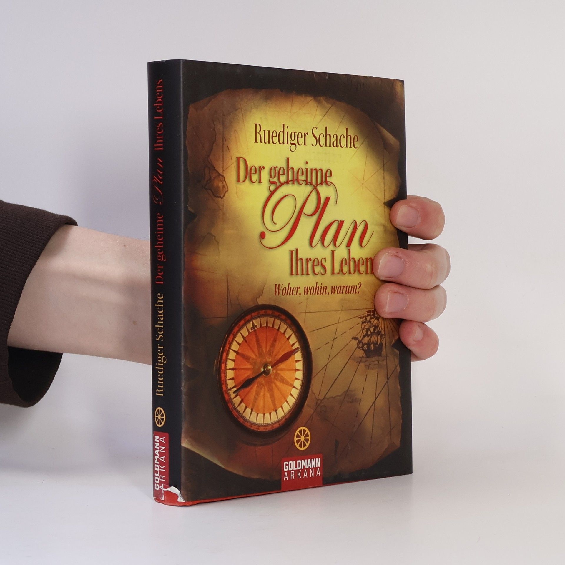 Ruediger Schache Der geheime Plan Ihres Lebens