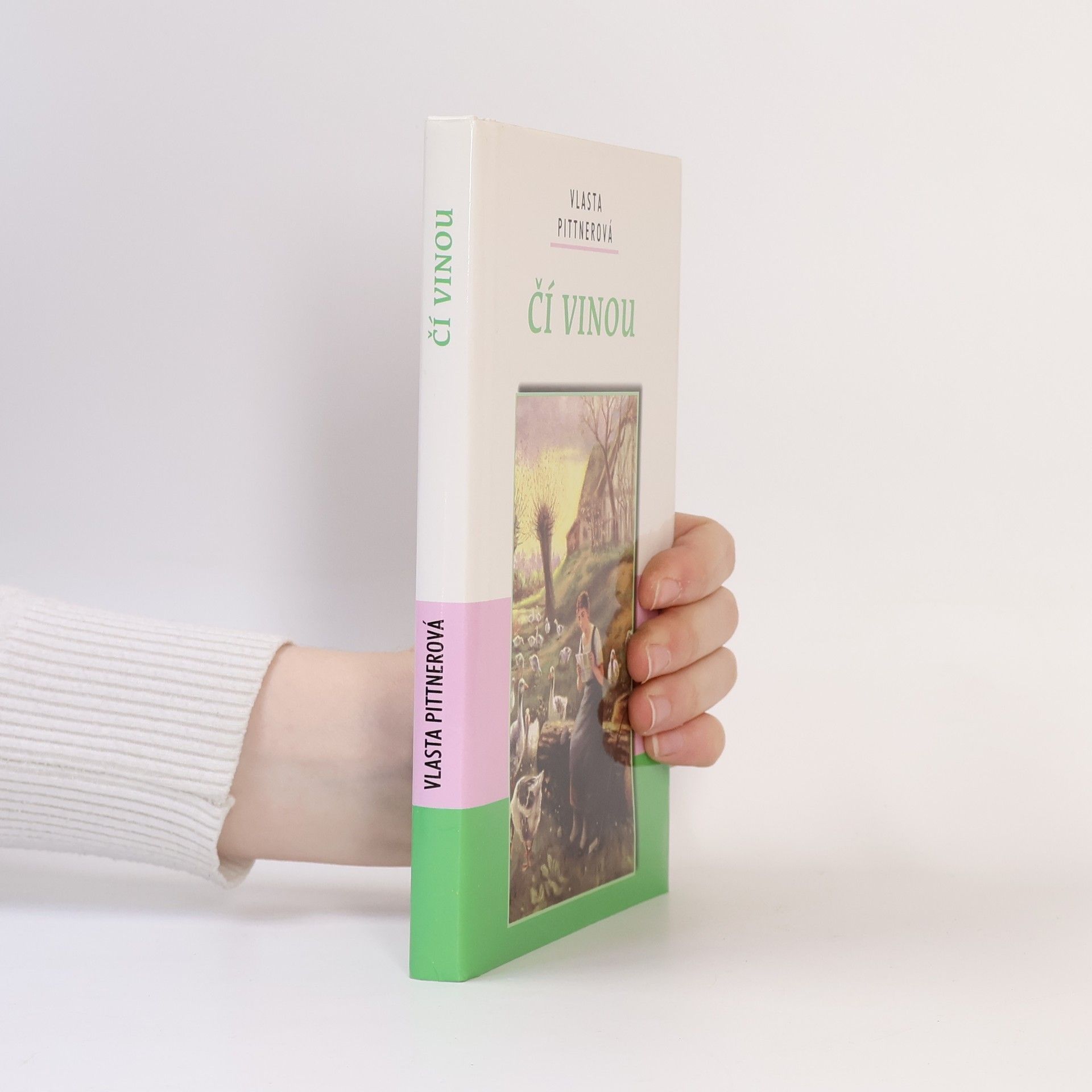 Vlasta Pittnerová Čí vinou