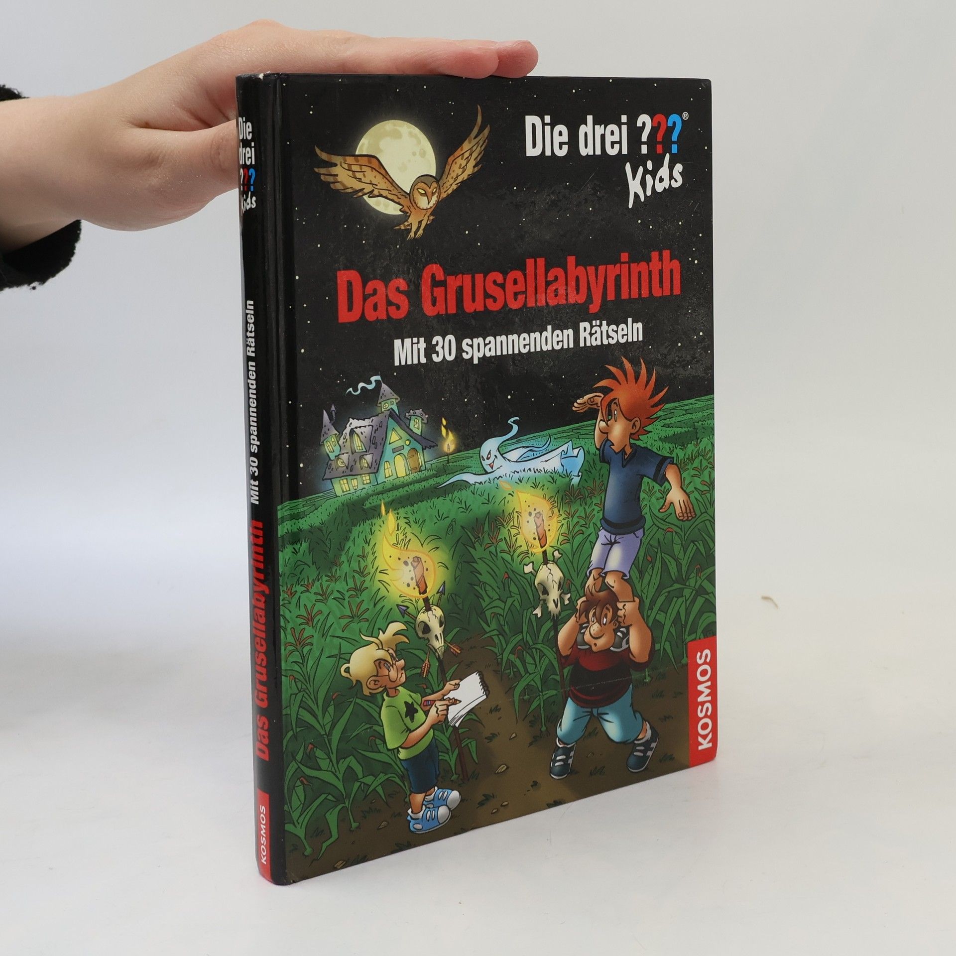 Ulf Blanck Das Grusellabyrinth
