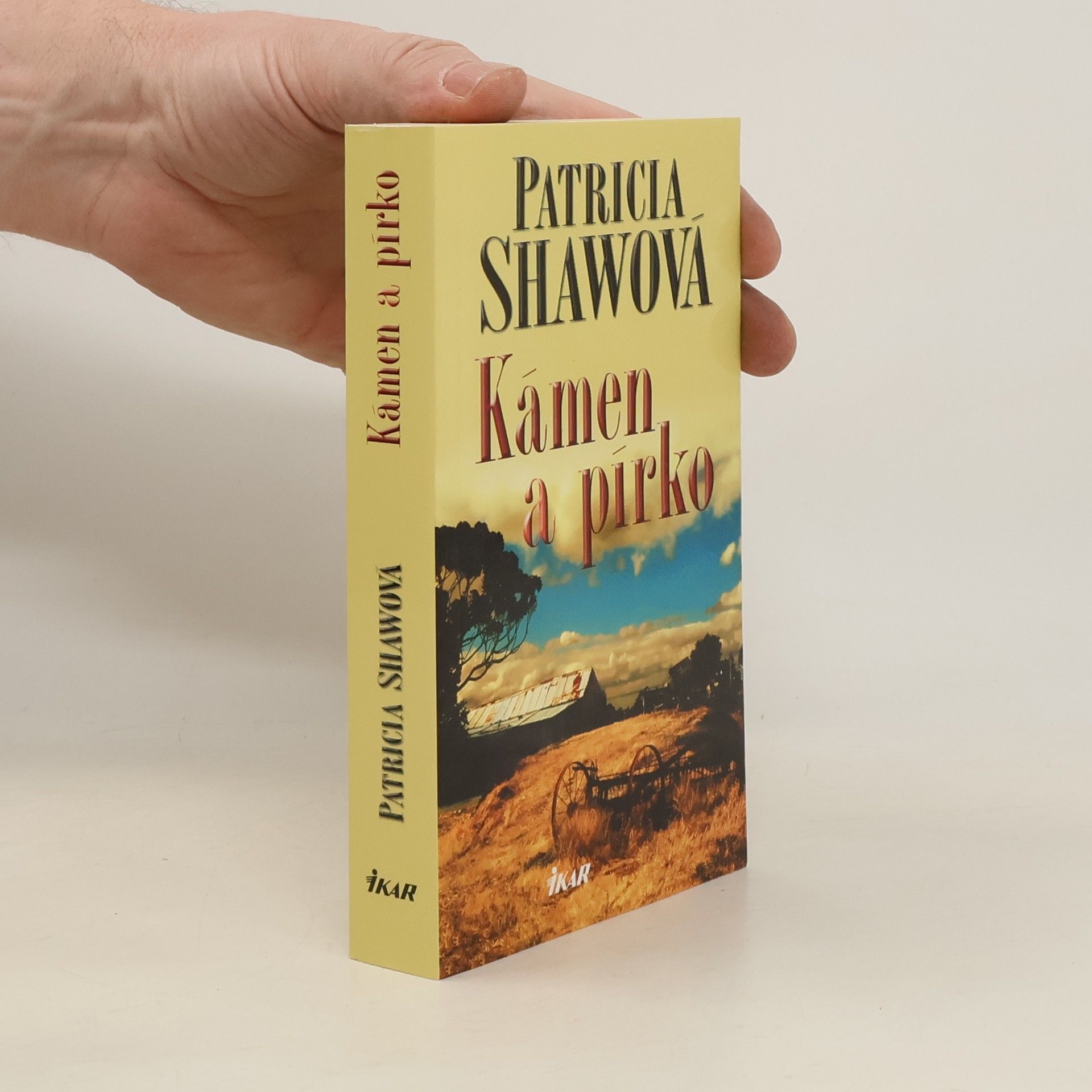 Patricia Shaw Kámen a pírko