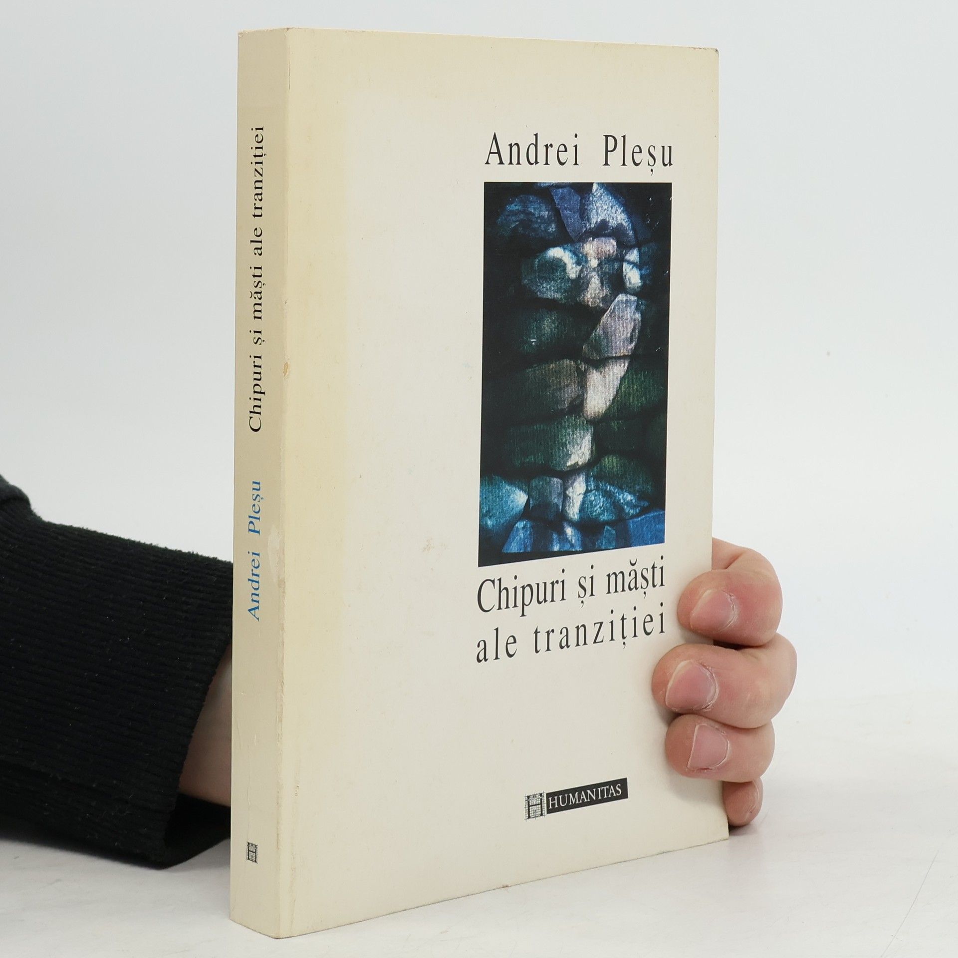 Chipuri și măști ale tranziției