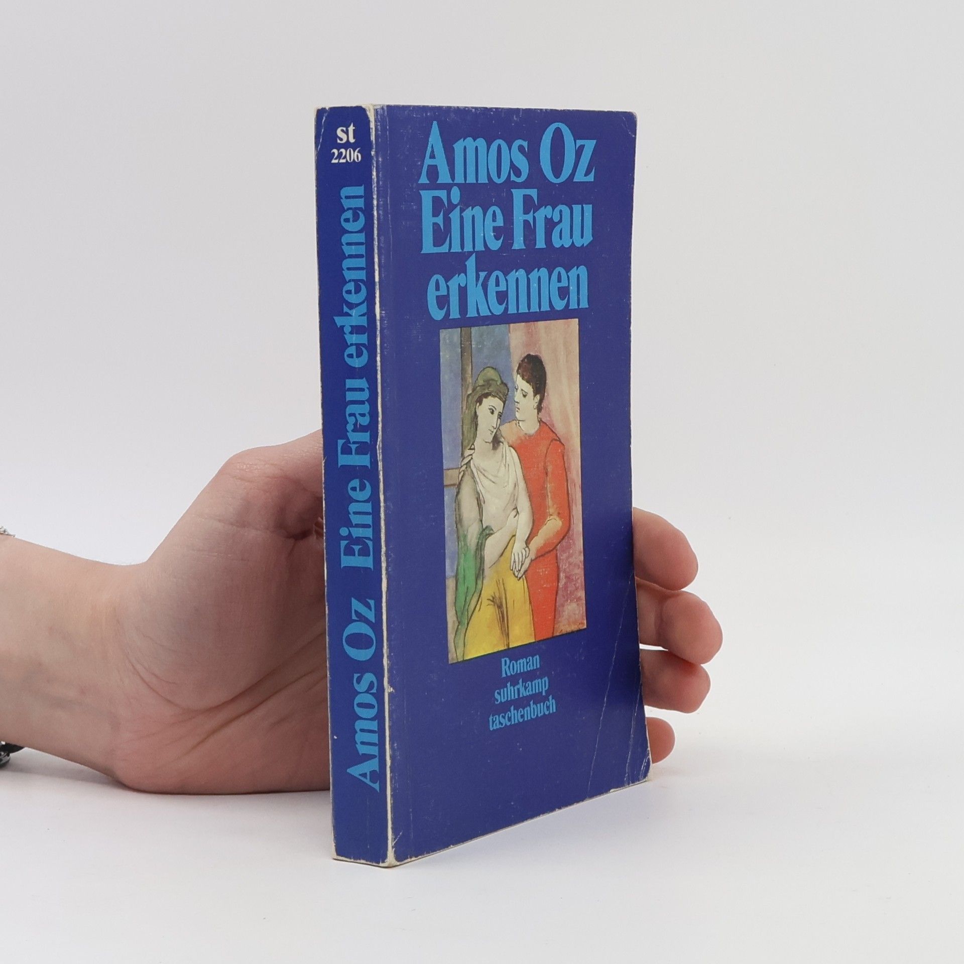 Amos Oz Eine Frau erkennen