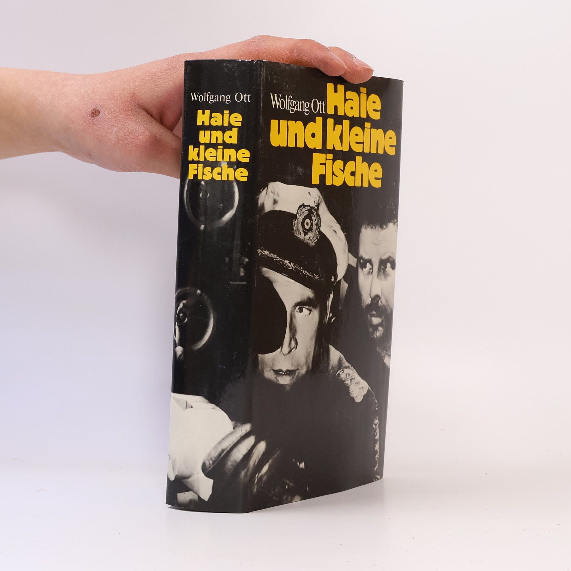 Wolfgang Ott Haie und kleine Fische