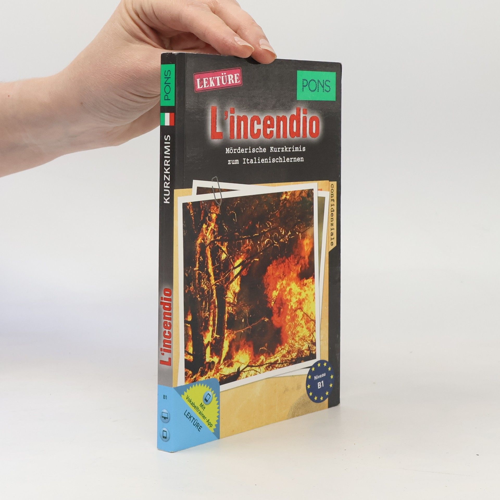 Giovanni Garelli L' incendio