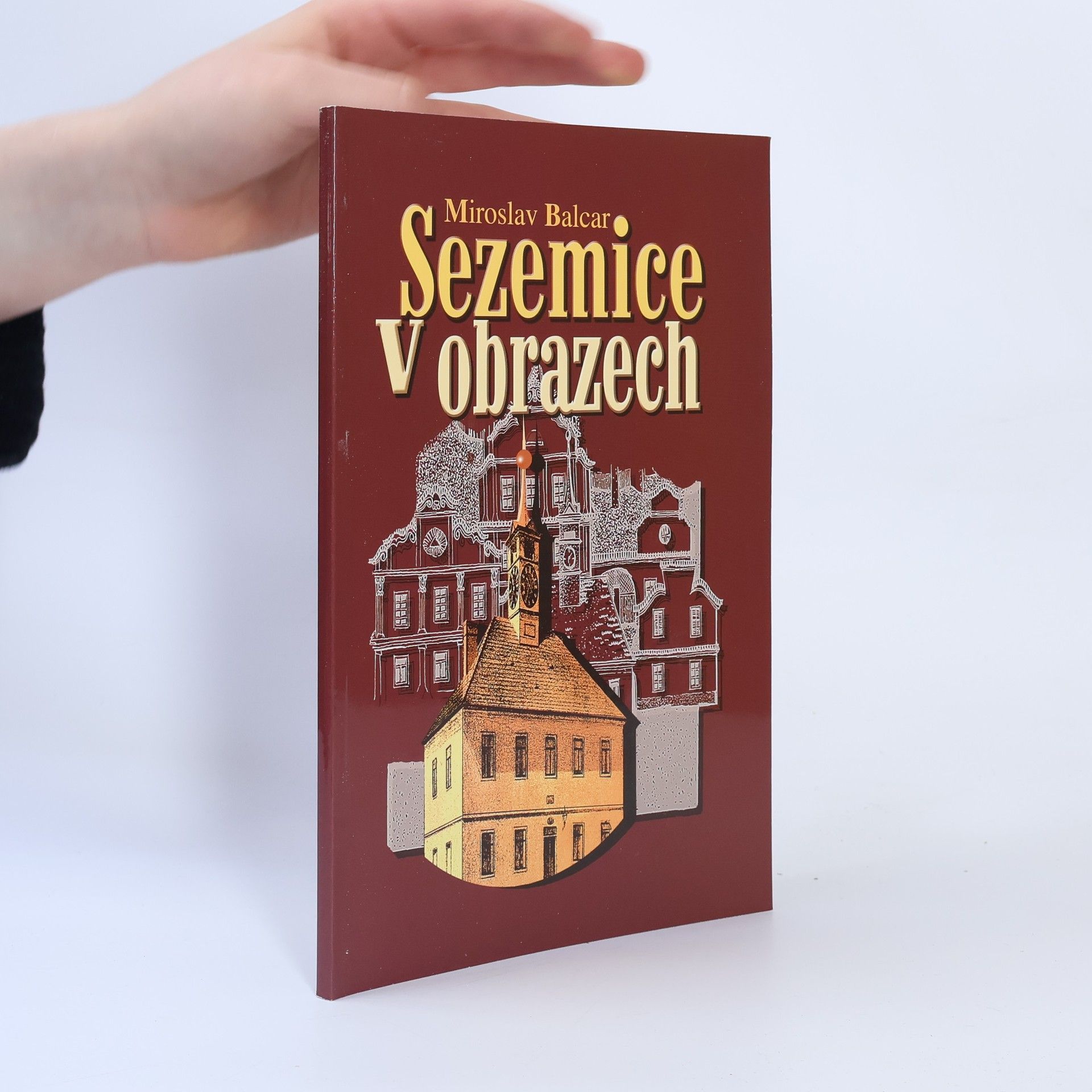 Sezemice v obrazech, aneb, Sezemice očima výtvarníků