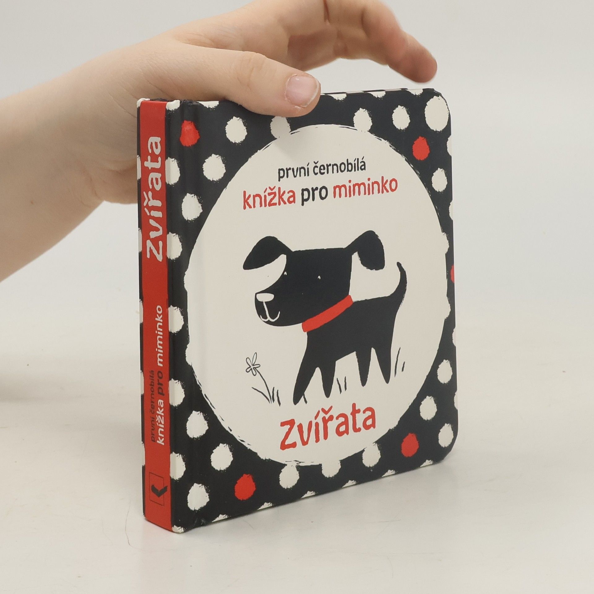 Stella Baggott Zvířata