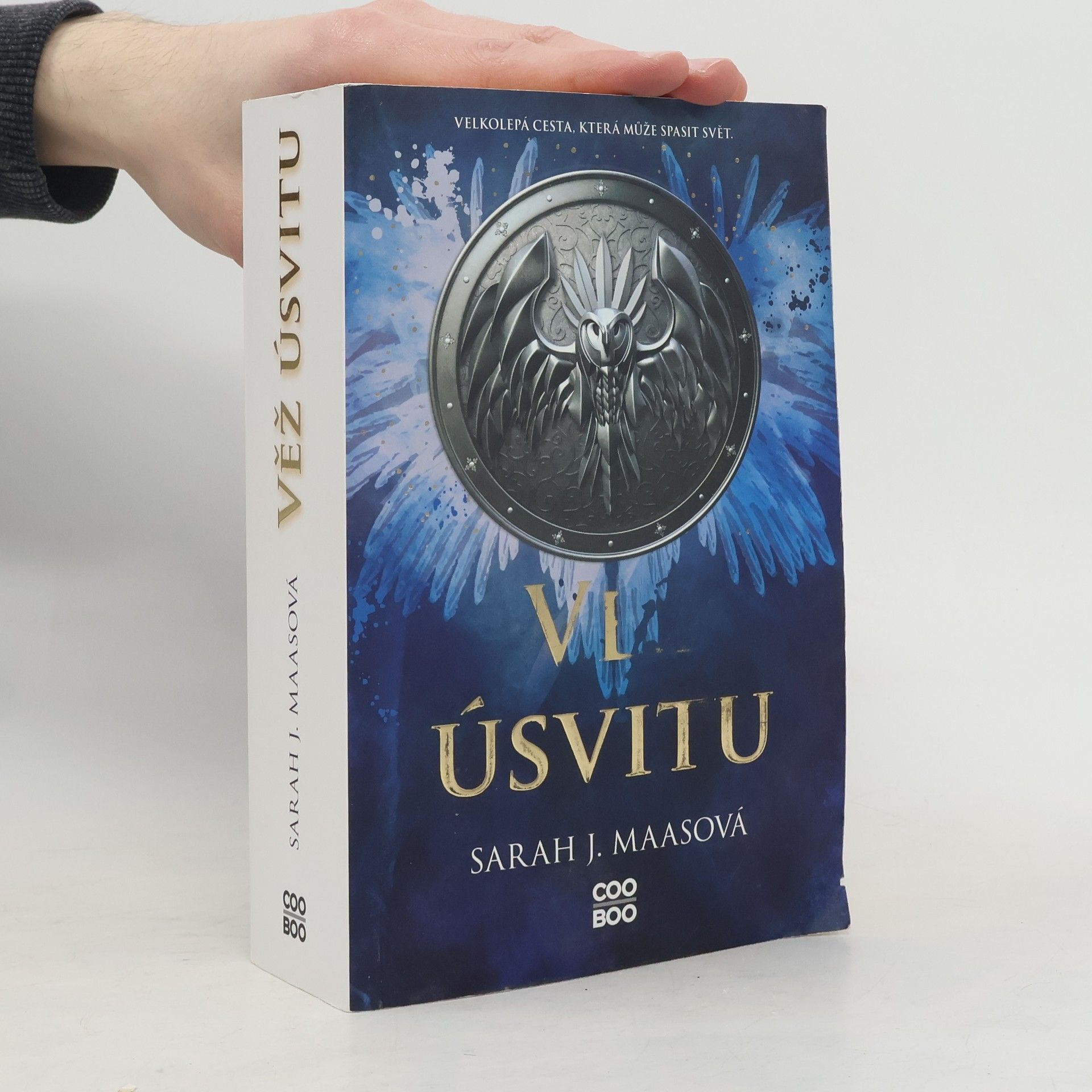Sarah J. Maas Věž úsvitu
