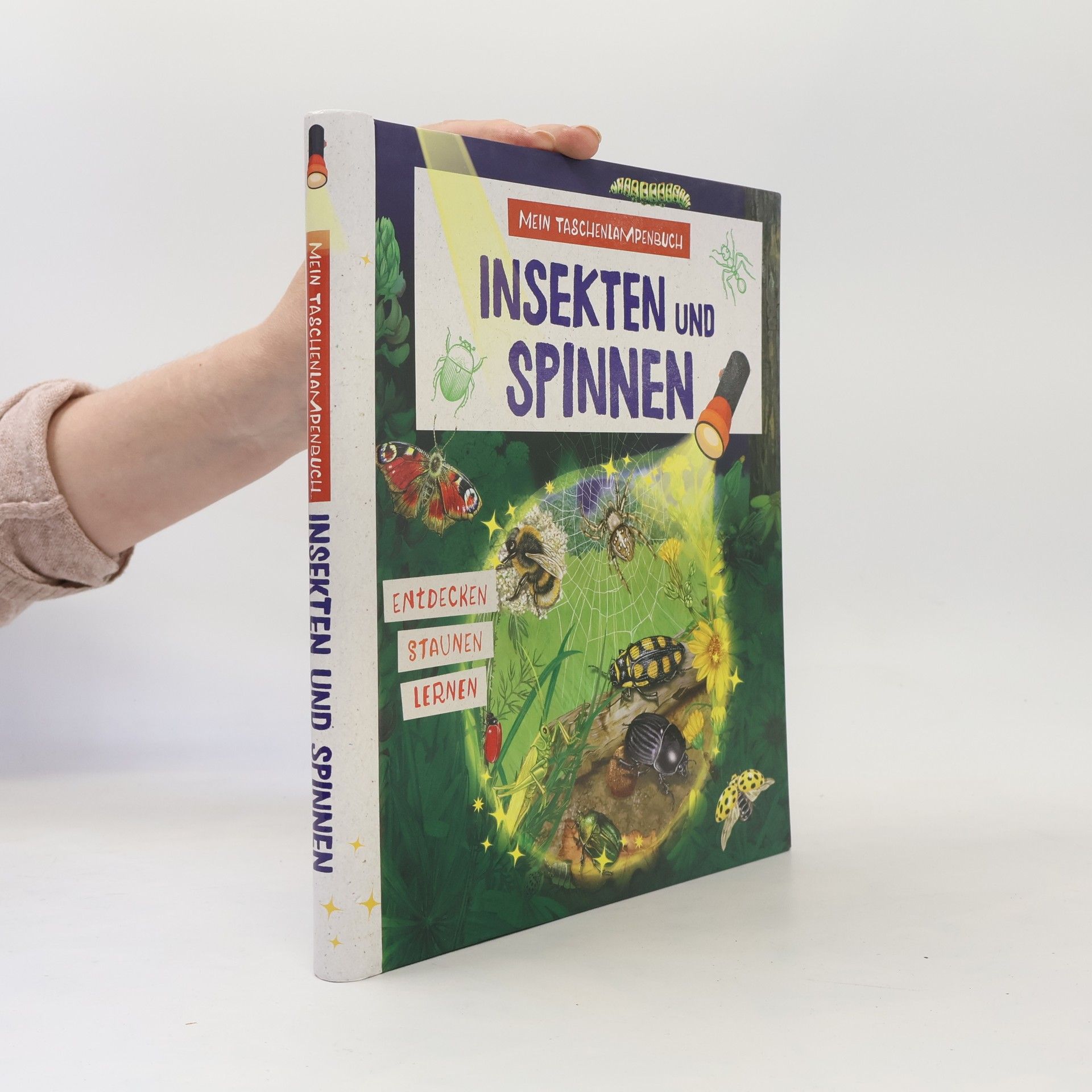 Kolektív autorov Mein Taschenlampenbuch Insekten und Spinnen